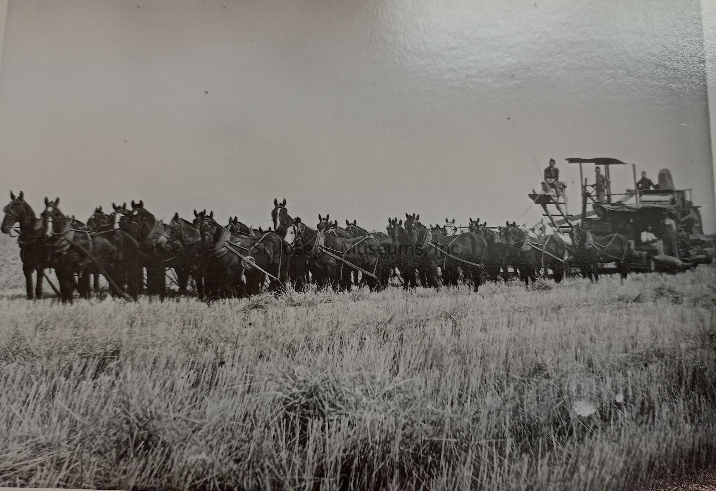 A black-and-white image depicting a large team of horses hitched to a piece of agricultural machinery, likely a combine harvester, as it traverses a field, which appears to be freshly harvested; two individuals, possibly farmers or workers, can be seen positioned on top of the machine, orchestrating the process as the horses diligently perform their task under the vast, clear sky.