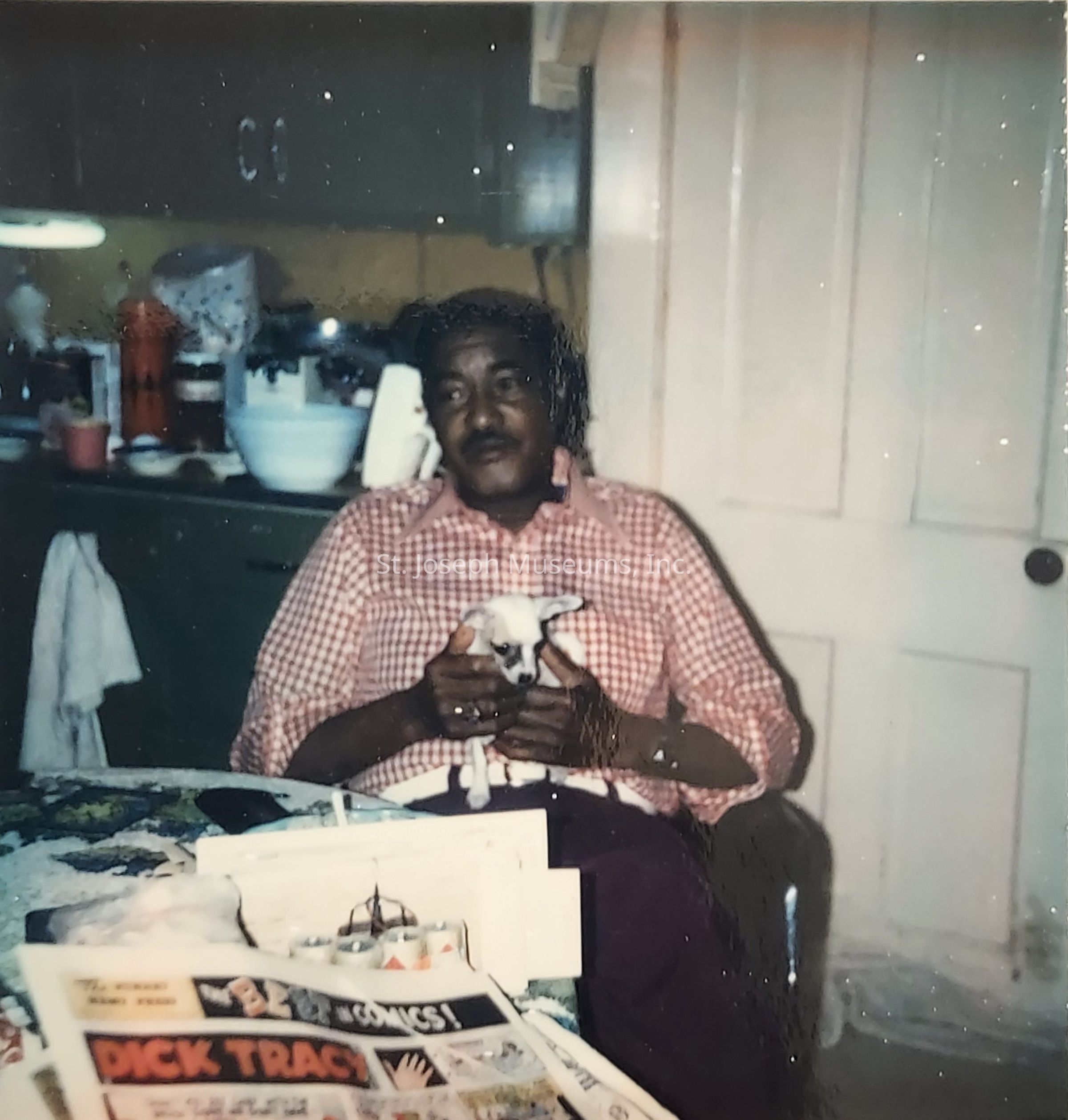 In the image, a person with a calm expression is seated in a kitchen environment, wearing a red and white checkered shirt, and gently holding a small white and black puppy. The background features various kitchen items, including bowls and a dishcloth hanging on a cabinet. On the table in the foreground, a "Dick Tracy" comic strip is visible, adding a sense of everyday life and relaxed ambiance to the scene. The overall atmosphere is warm and domestic, conveying a moment of quiet companionship and leisure.