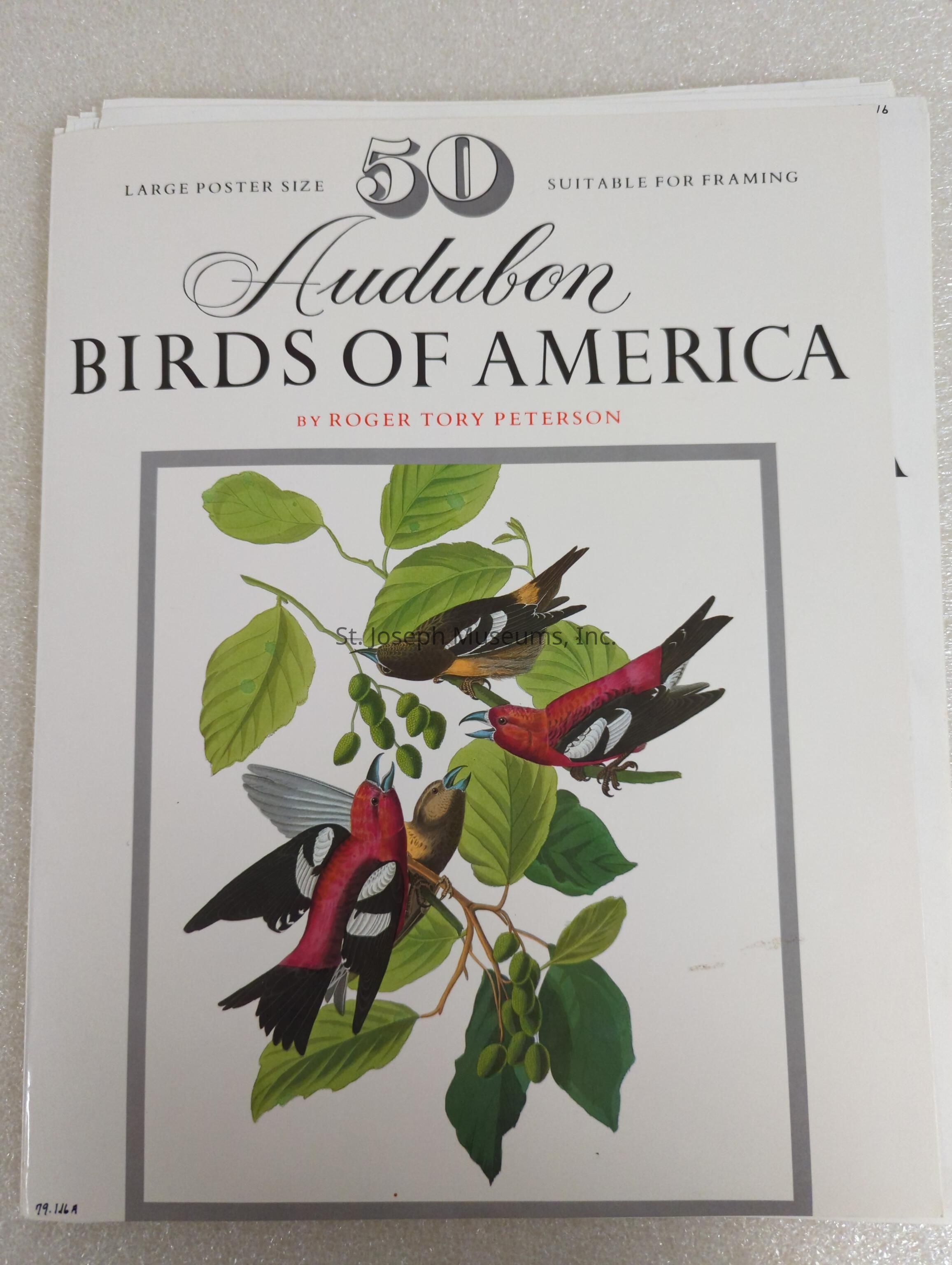 The image features a cover of a publication titled "Audubon Birds of America" by Roger Tory Peterson. The text highlights "50" large poster-sized illustrations, emphasizing its suitability for framing. The cover showcases a beautifully detailed illustration of three vibrant birds perched on a branch with green leaves and berries. The birds exhibit striking colors, predominantly red and black, with intricate patterns on their wings. The artwork is framed within a simple gray border, enhancing the aesthetic appeal of the image. The overall design suggests a focus on ornithological art and natural beauty.