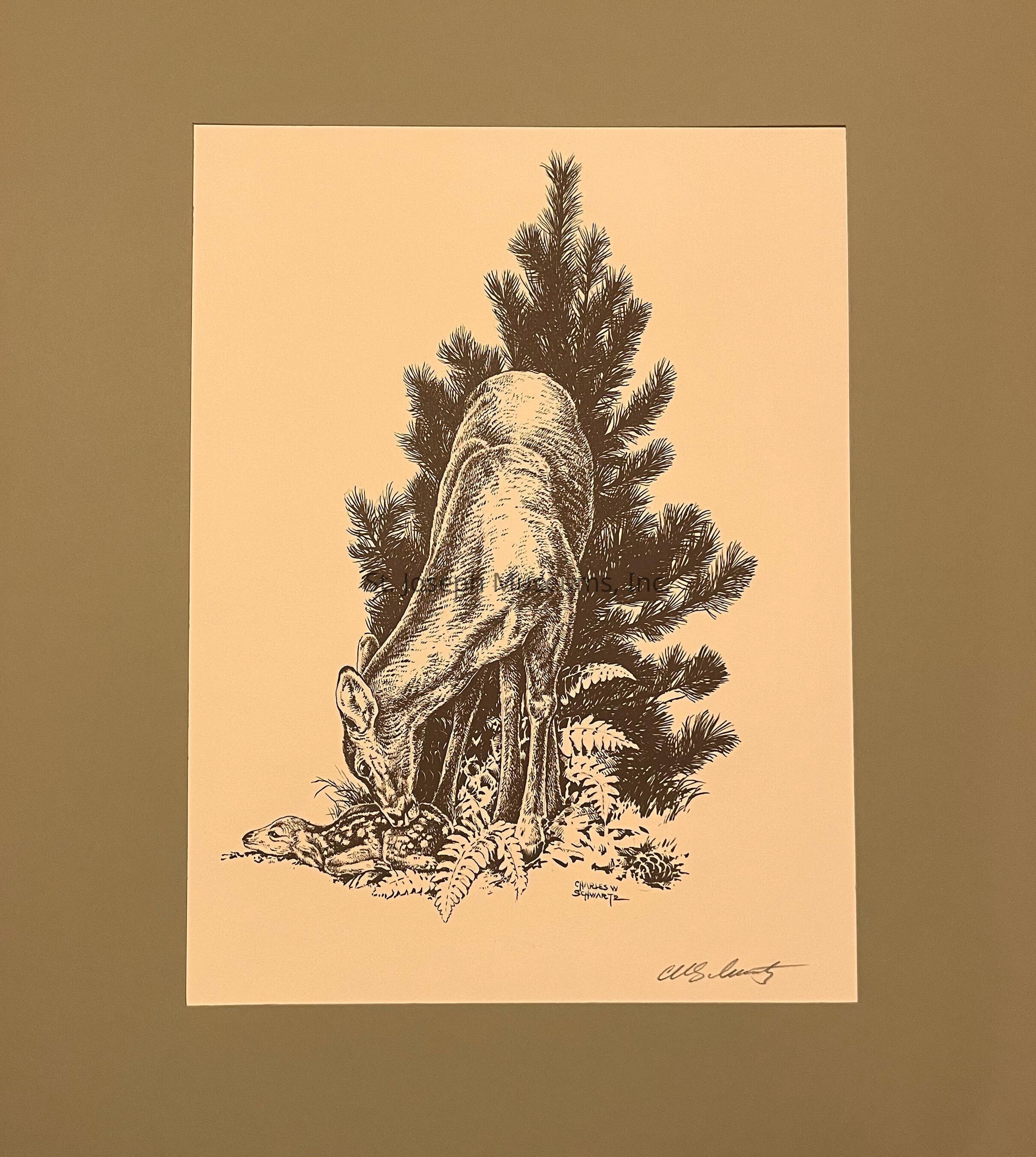 The image depicts a detailed black and white drawing of a deer standing over a fawn, nestled among foliage and standing before a background of pine branches. The deer, with its head lowered, appears attentive and nurturing towards the spotted fawn lying on the ground amid ferns and grass. The artistic rendering emphasizes the textures of the deer’s fur and the lush vegetation, creating a sense of depth and realism. The composition is both tranquil and intimate, capturing a tender moment in a natural setting. The artwork is framed by a simple, muted border that complements its serene theme.