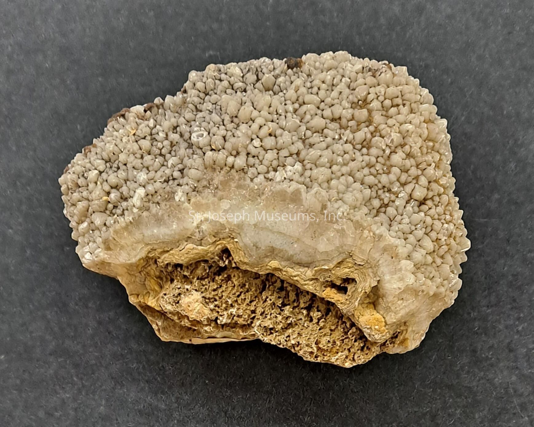 The image showcases a textured piece of beige chalcedony with a rough outer surface characterized by numerous small, rounded nodules tightly packed together, giving it a bumpy appearance. The top layer of the rock is lighter in color, transitioning into a more opaque, yellow-orange layer at its lower section, which appears porous and crumbly. This layer provides a stark contrast to the overall smoother and denser upper region.