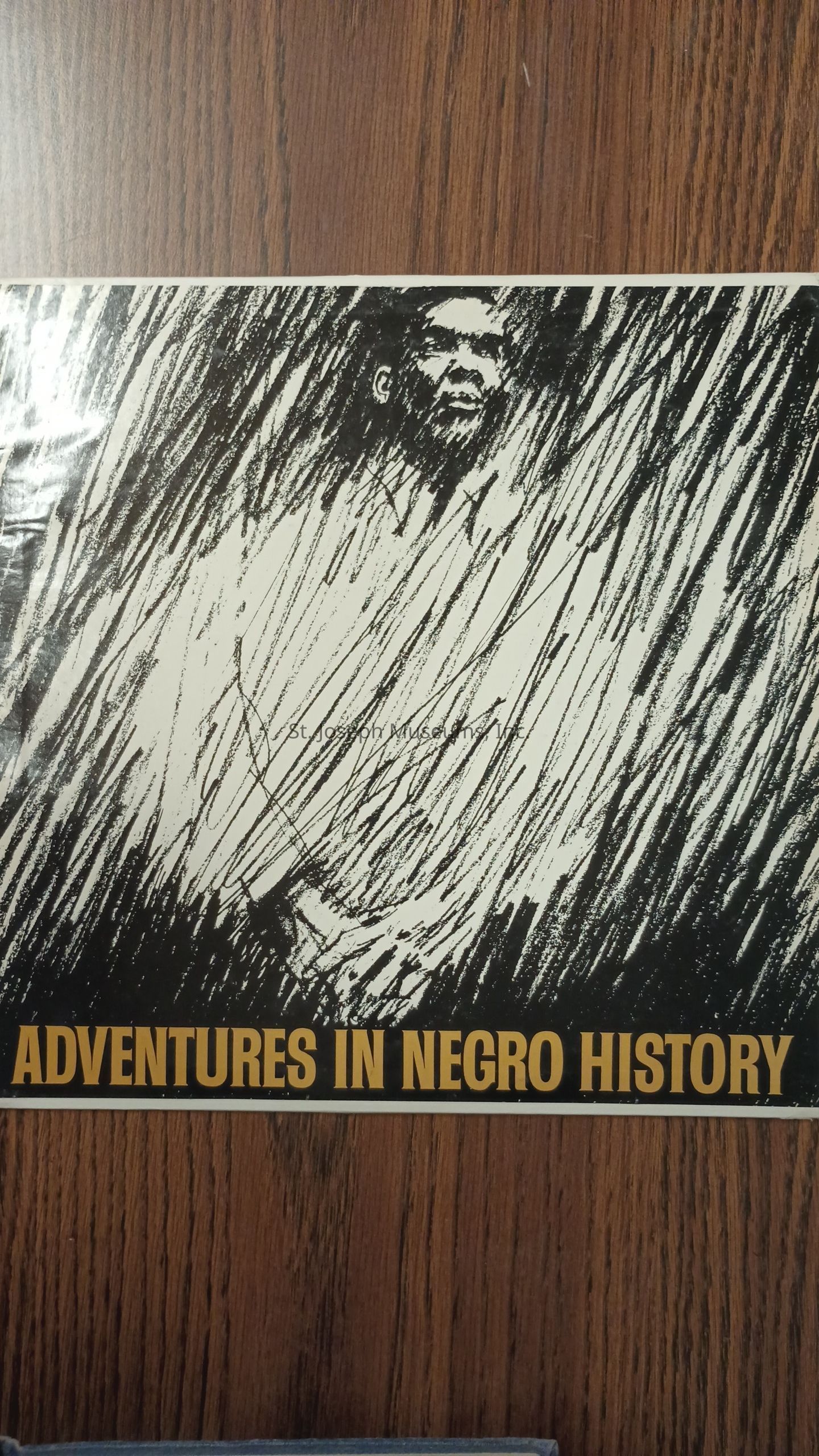 The image depicts a cover or poster with a sketch-style drawing of a person in the center, whose details are abstracted with dynamic black lines creating a sense of movement and intensity. The background is filled with these crisscrossing lines that provide texture and depth to the visual, contributing to an expressive and dramatic effect. Below the illustration, the text "ADVENTURES IN NEGRO HISTORY" is prominently displayed in bold, uppercase yellow letters against a black background, capturing attention and implying a focus on historical narratives or explorations. The entire piece is set against a wooden background, possibly suggesting a display on a table or wooden surface. The artwork's style and text together create an impression of significance and educational intent, evoking themes related to historical exploration and cultural heritage.