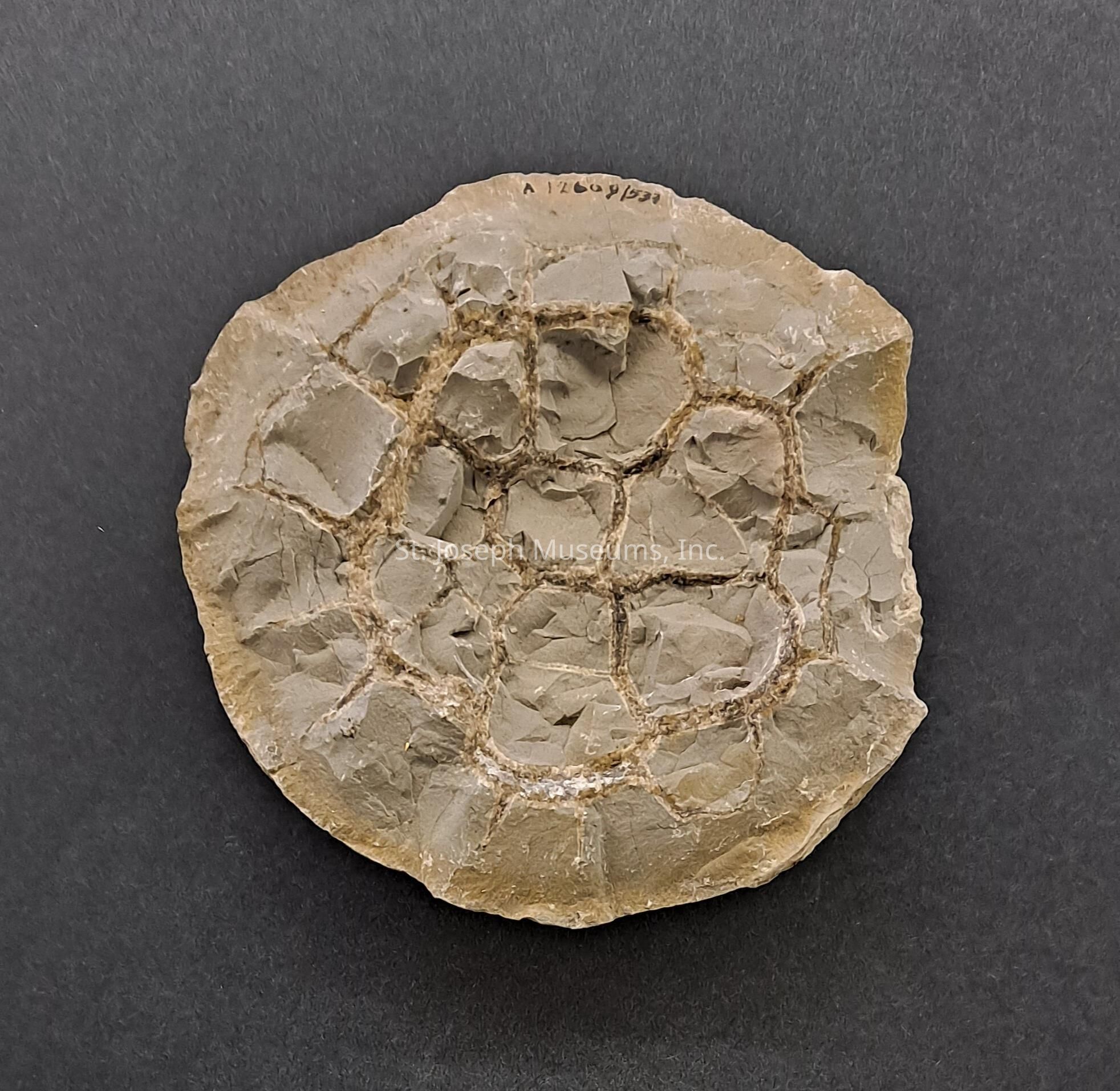 Geode Example Geode
