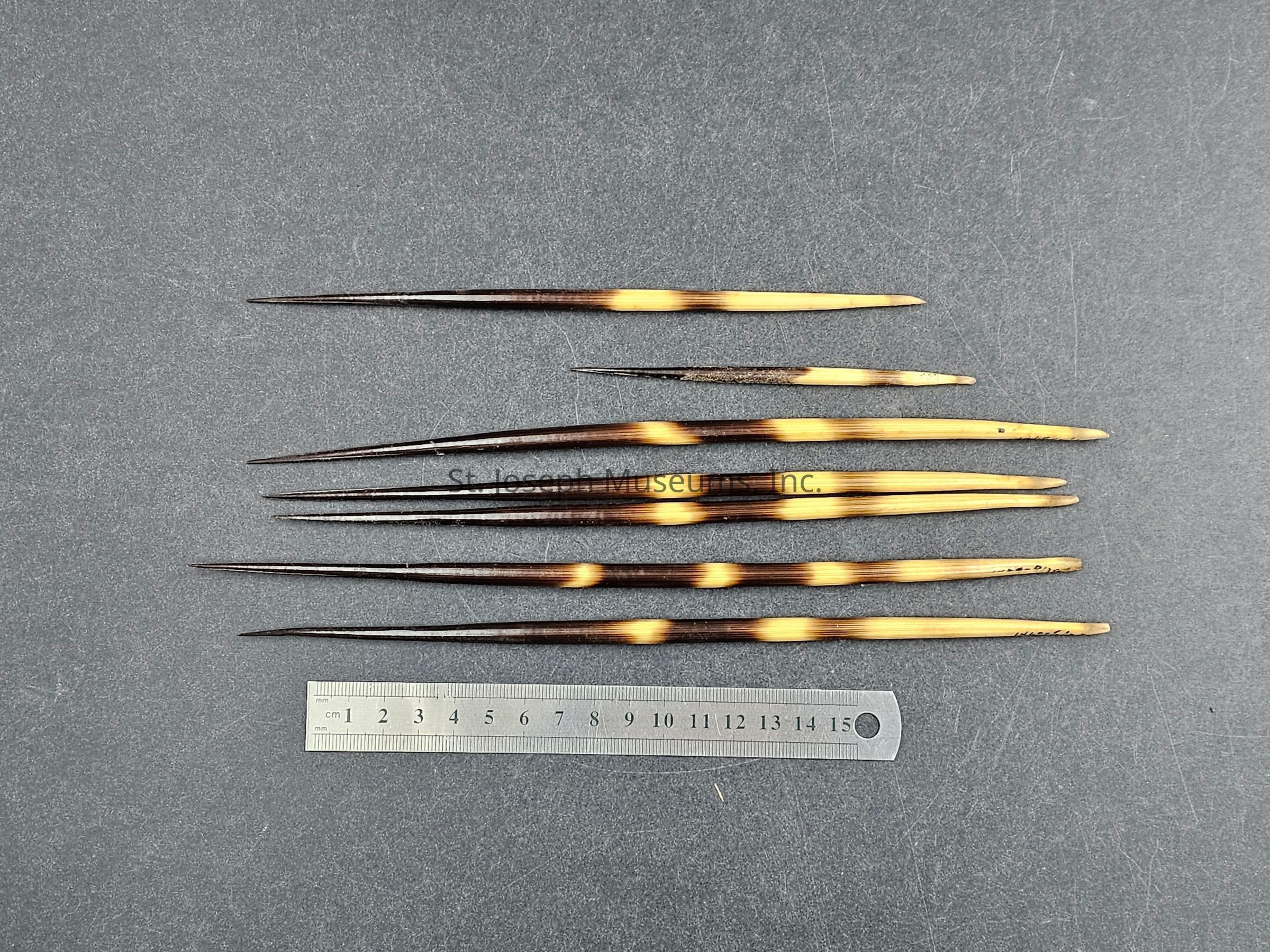 The image shows a collection of eight intricately crafted, elongated wooden needles arranged in two parallel rows on a textured gray surface. These needles display a unique alternating pattern of dark brown and light tan hues, resembling the natural gradient often found in certain types of wood or bamboo. Below the set of wooden needles lies a metallic ruler, placed horizontally, which provides a sense of scale, indicating that each needle measures approximately between 10 and 15 centimeters in length. The ruler displays both centimeter and millimeter markings, offering precise measurements. The overall composition and arrangement suggest a focus on the craftsmanship and aesthetic appeal of these finely polished objects, which could be used for specialized tasks such as knitting, weaving, or other artisanal crafts. The visual contrast between the warm tones of the needles and the cool, neutral background enhances their intricate beauty and delicate features, inviting viewers to appreciate the detailed workmanship involved in their creation.
