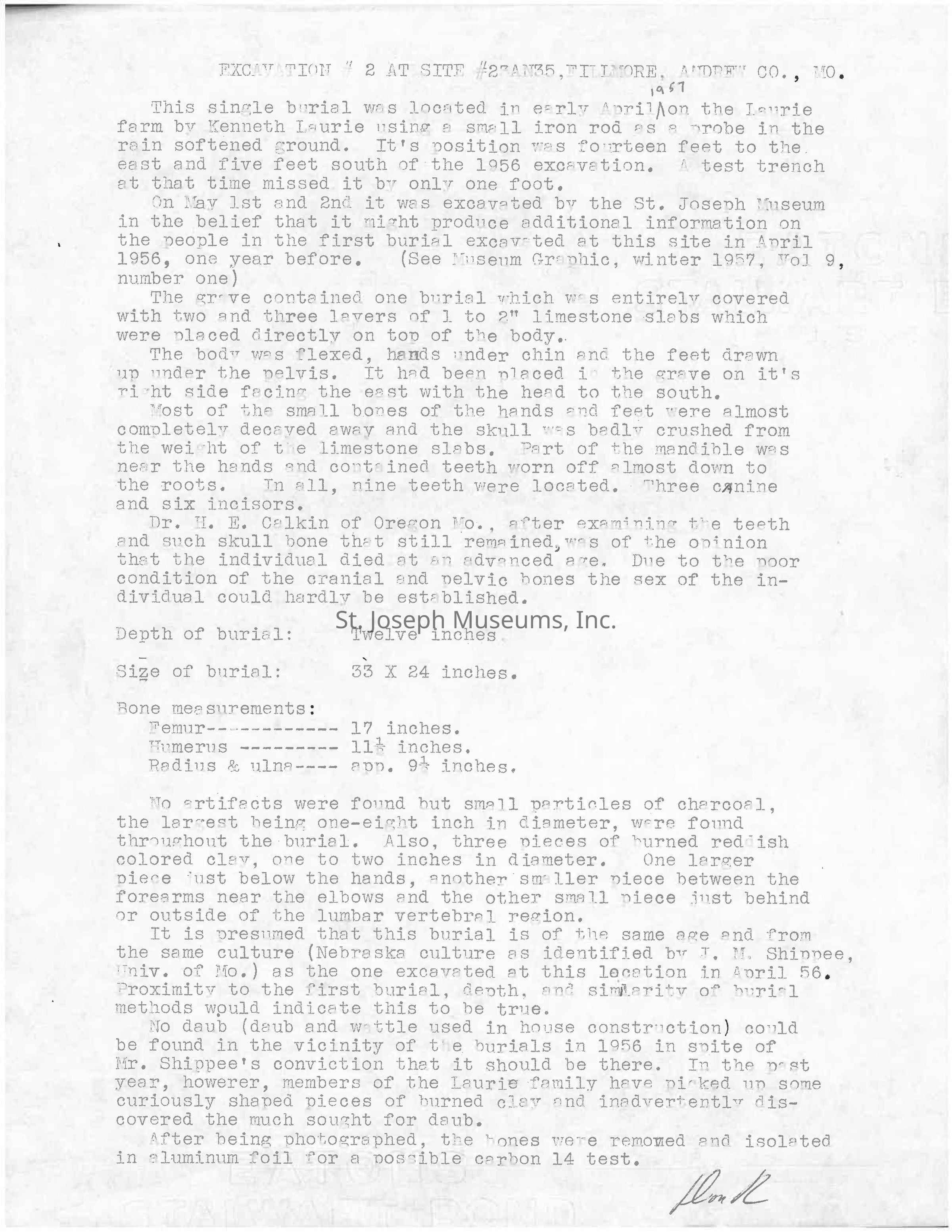The document is a typed excavation report detailing the discovery of a single burial found in early April 1957 at a site in Fillmore, Andrew County, Missouri, on the Laurie farm. The report describes the burial arrangement, mentioning a body with flexed hands and decayed bones, covered by limestone slabs. Details include bone measurements, the presence of nine teeth, and the absence of artifacts except for small charcoal particles. The burial is attributed to the Nebraska culture, similar to a previous find from the same location.