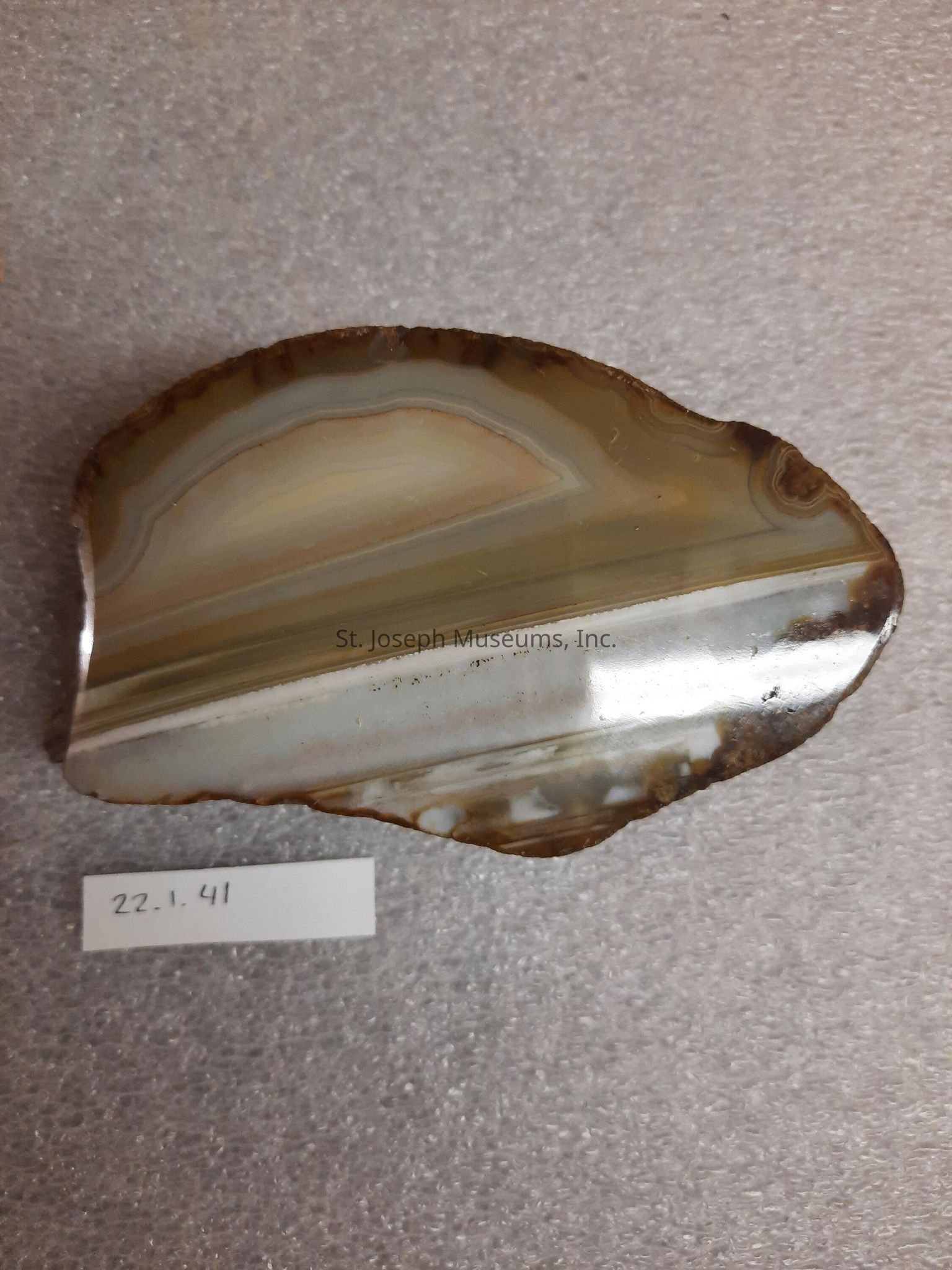 Geology at the WTM