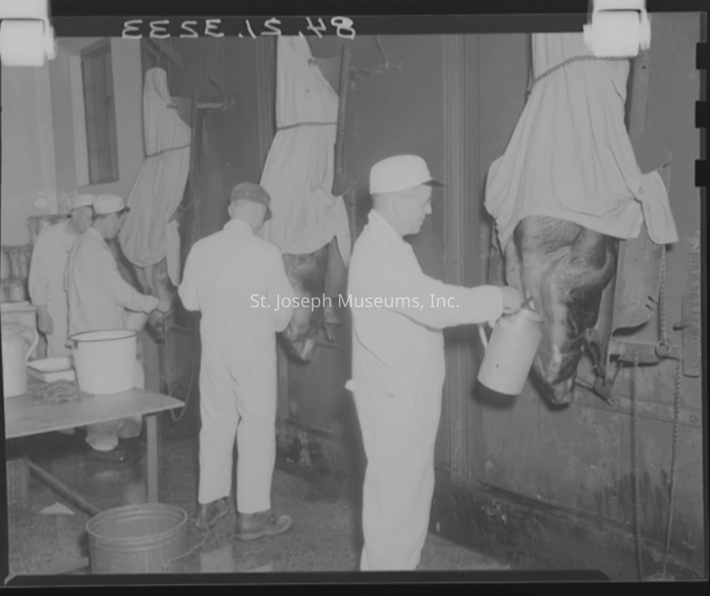 Black-and-white photograph of the Anchor Serum Company facility on Lower Lake Road in St. Joseph, Missouri. Several workers in white uniforms and caps are processing animal carcasses; they are engaged in various tasks, including handling large metal containers, in an industrial setting with hanging carcasses covered by sheets.