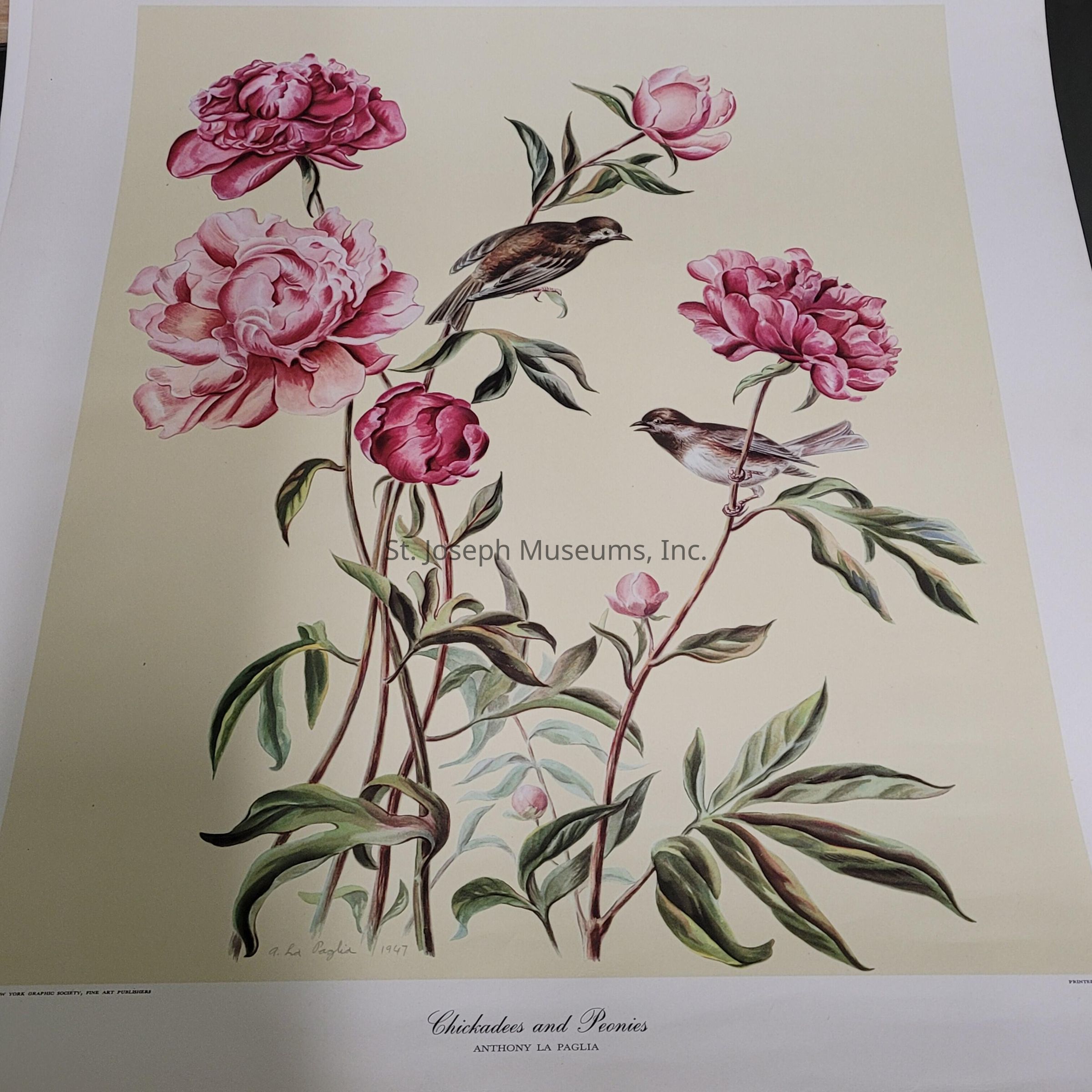 The image is a beautiful botanical illustration featuring vibrant pink peonies in full bloom, with their lush petals and detailed leaves meticulously depicted. Among these exquisite flowers are two small birds, chickadees, perched gracefully on the slender branches. The composition is set against a soft, pale background, emphasizing the richness of the pink hues and the intricate detailing of the bird's feathers and the plant's foliage. The artwork, titled "Chickadees and Peonies," is attributed to Anthony La Paglia, dated 1967. The artist's attention to detail and use of color creates a harmonious and serene scene, capturing the delicate beauty and tranquility of nature.