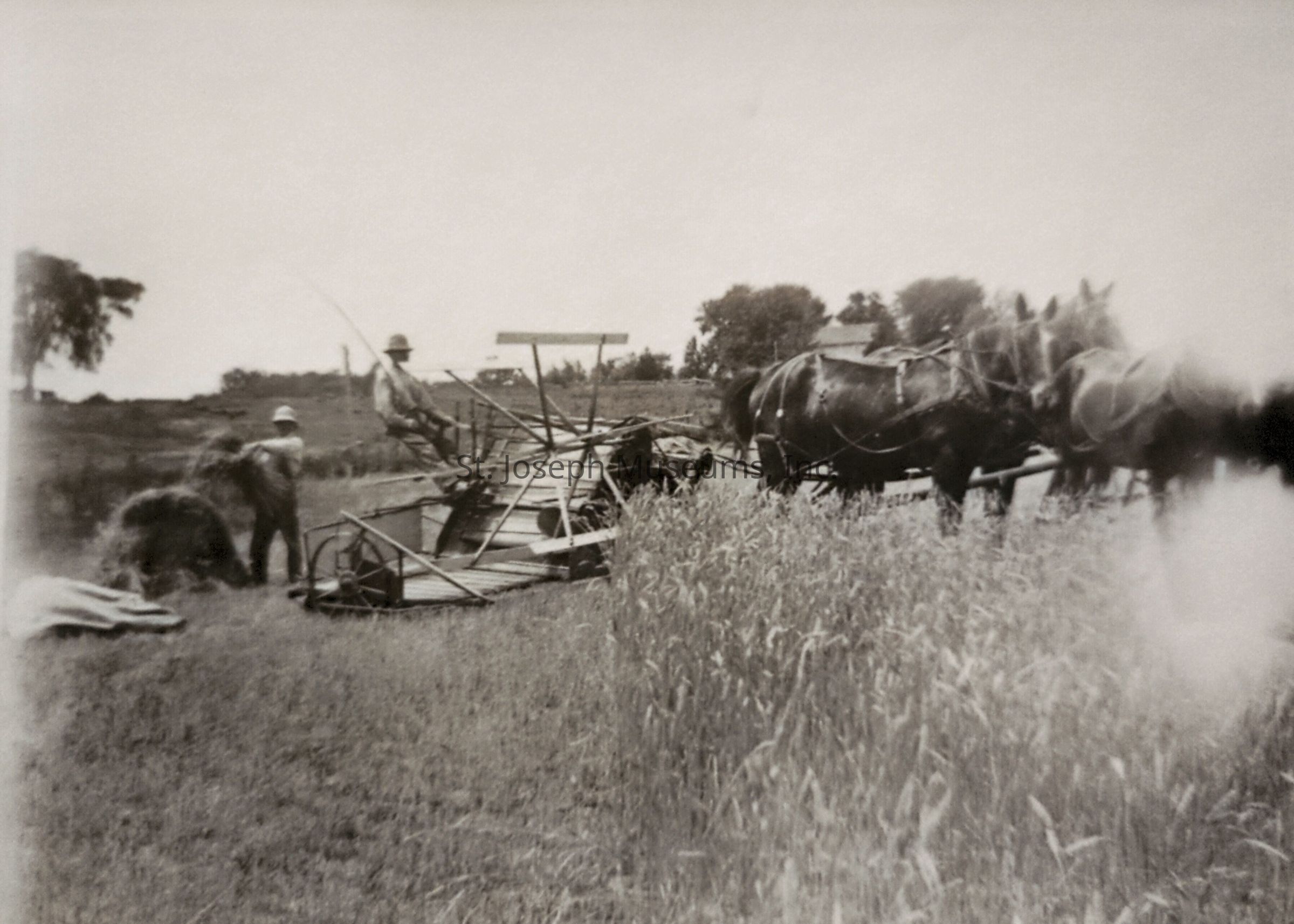 Black-and-white image showcasing two people engaged in agricultural work; one person is sitting on a horse-drawn reaper, while another is standing nearby, organizing gathered hay or grain in an open field, with tall grasses in the foreground and trees and possibly farm buildings visible in the blurred background.