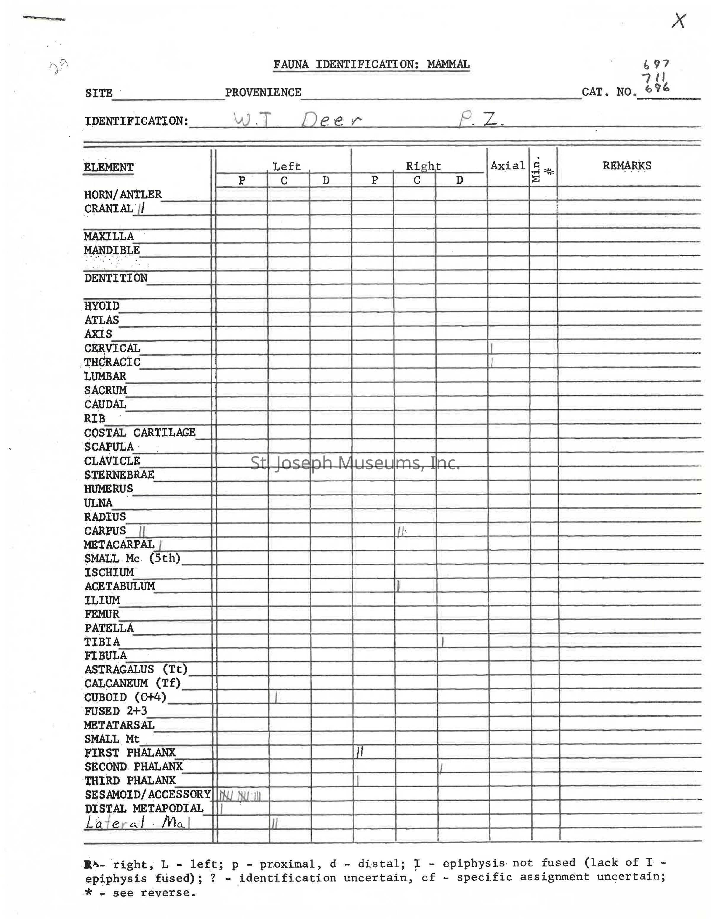 Click for full PDF: The image depicts a form titled "FAUNA IDENTIFICATION: MAMMAL," used for cataloging skeletal elements of a "W.T Deer" from a site labeled "PROVENIENCE," with sections for left, right, and axial body parts, including categories such as horn, mandible, vertebrae, and limbs, along with the presence of annotations possibly indicating different conditions or identifications of the bones; the chart features columns for different positional markers, etc