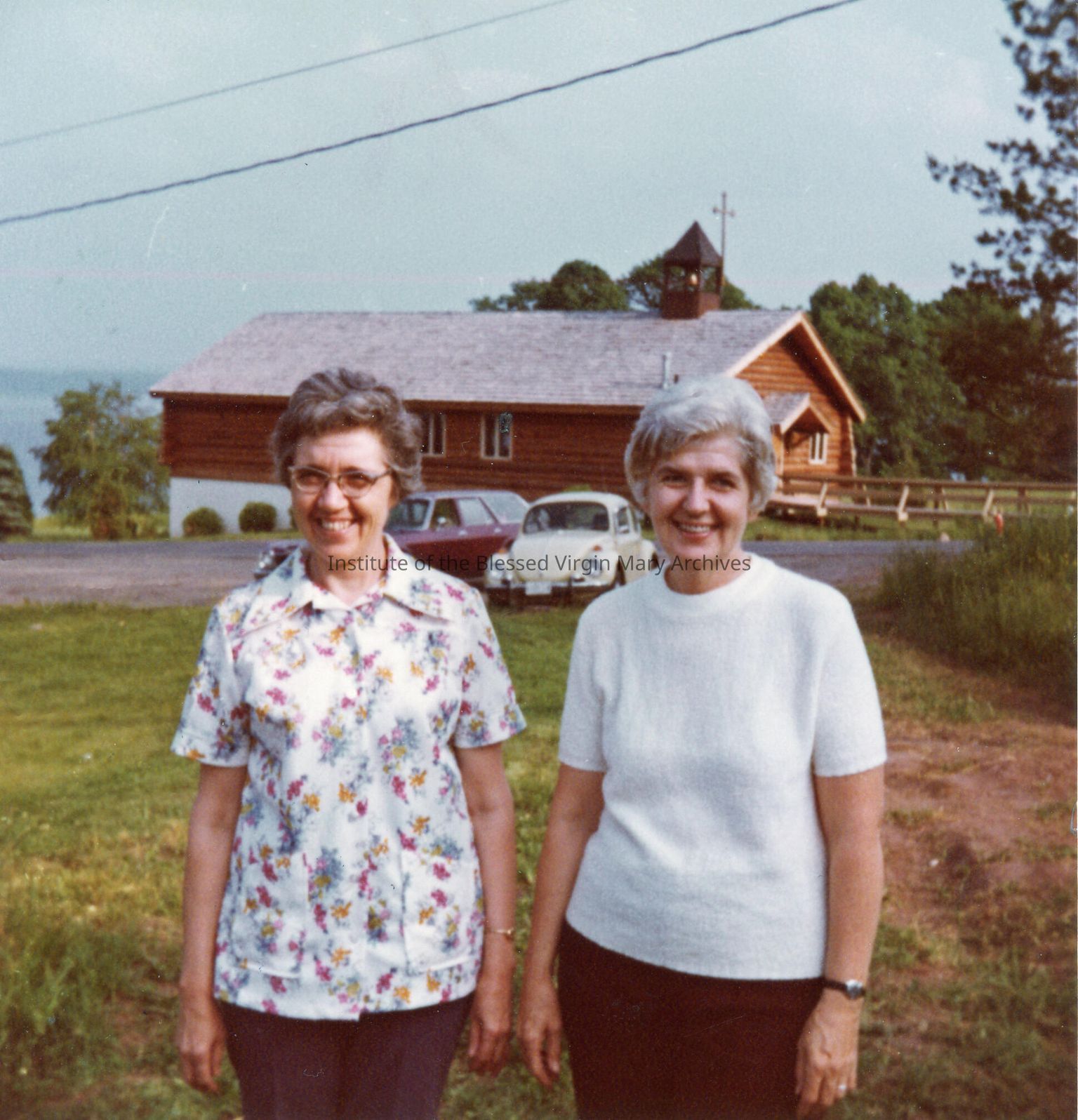 Assinins Collection (Michigan)