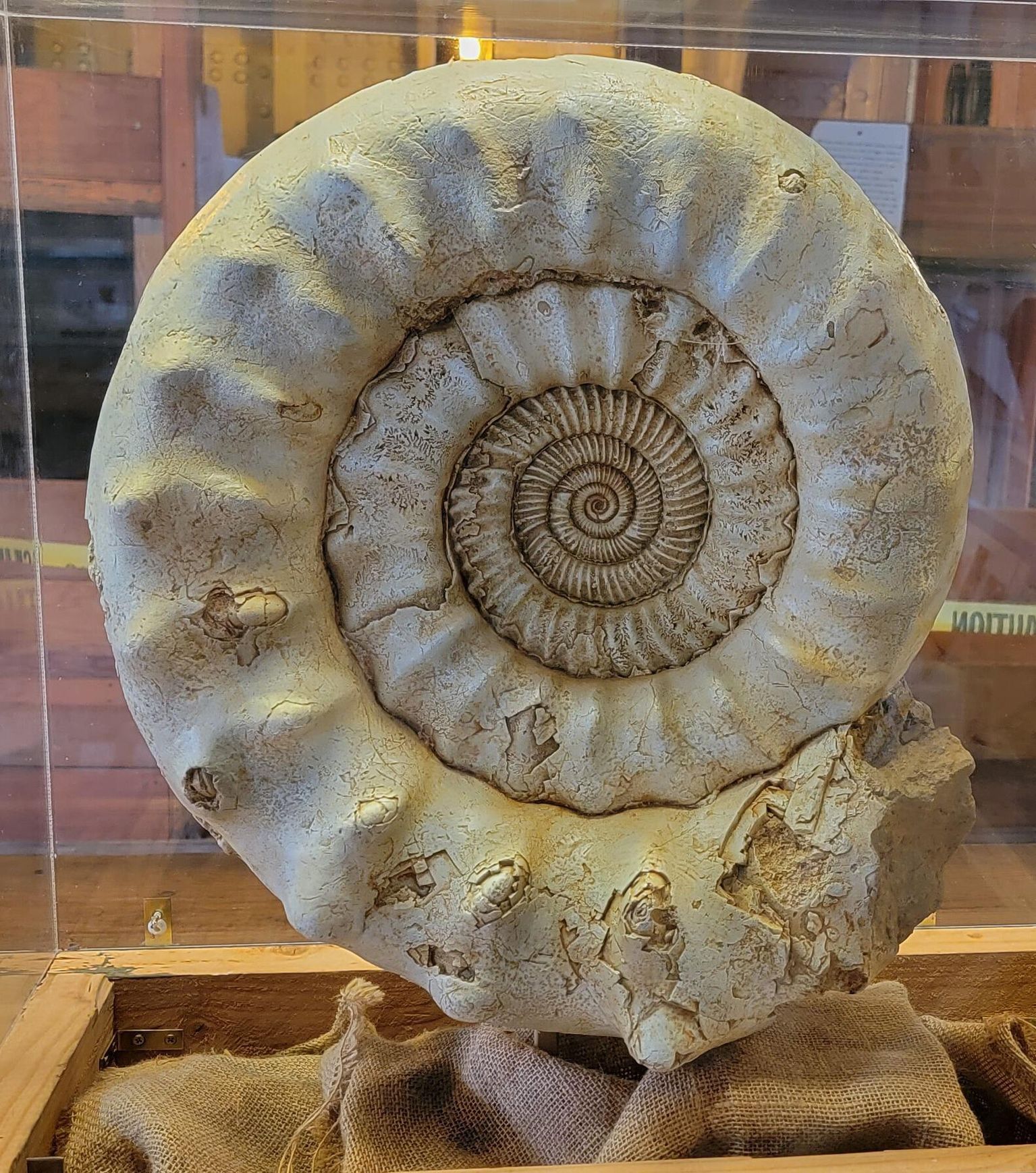 Sea Monsters Exhibition