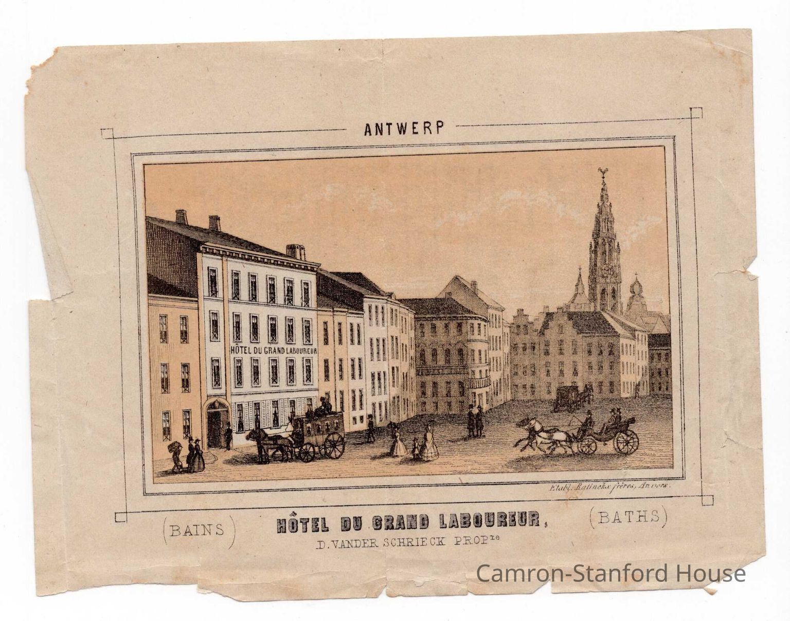 Explore the Collection