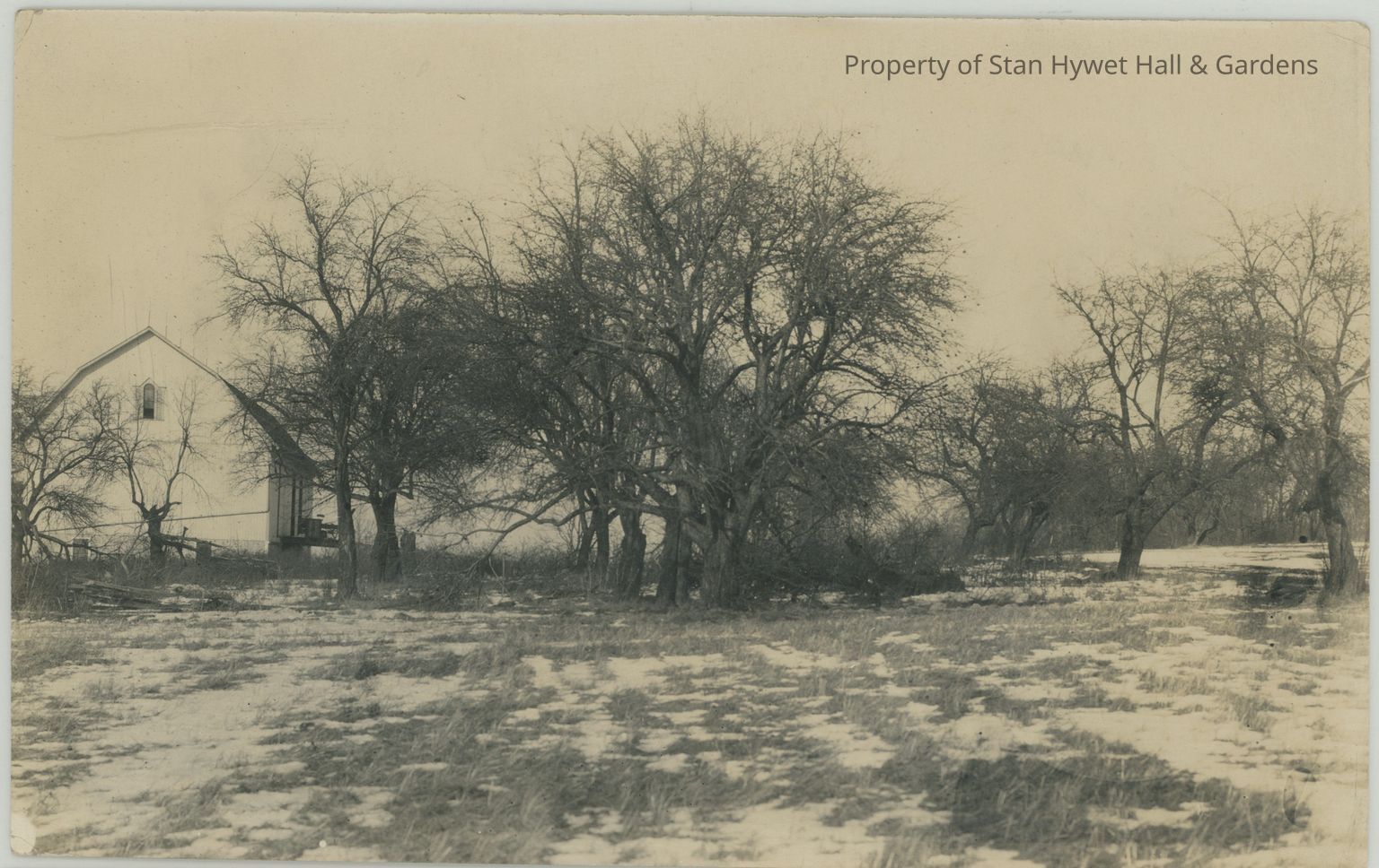 Property survey prior to construction