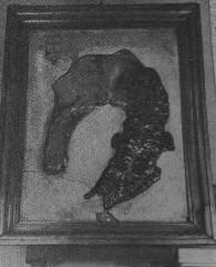 Moosnick Scientific Collection