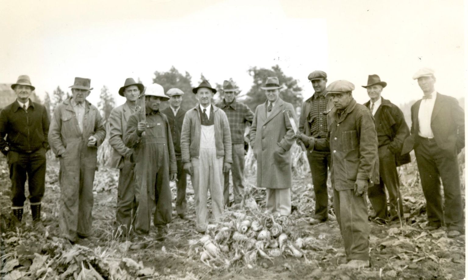 Agriculture_Harvesting