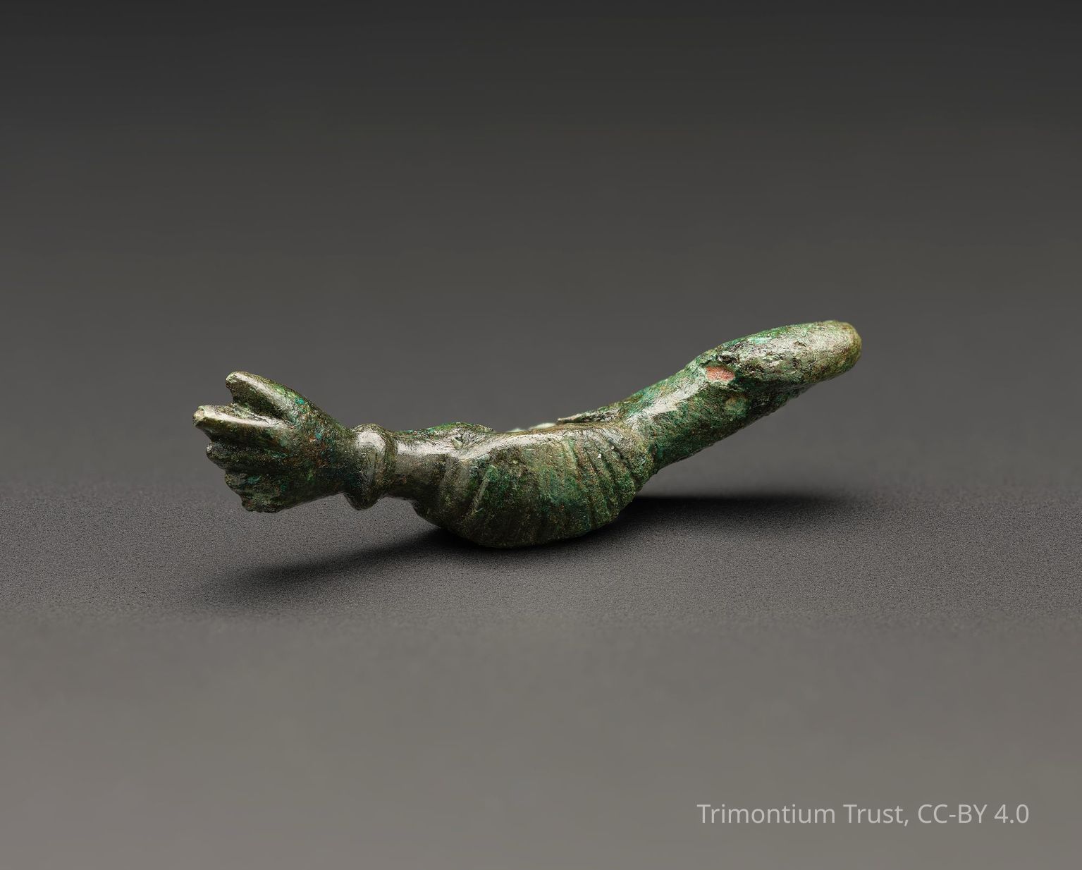 FITTINGS & MISCELLANEOUS