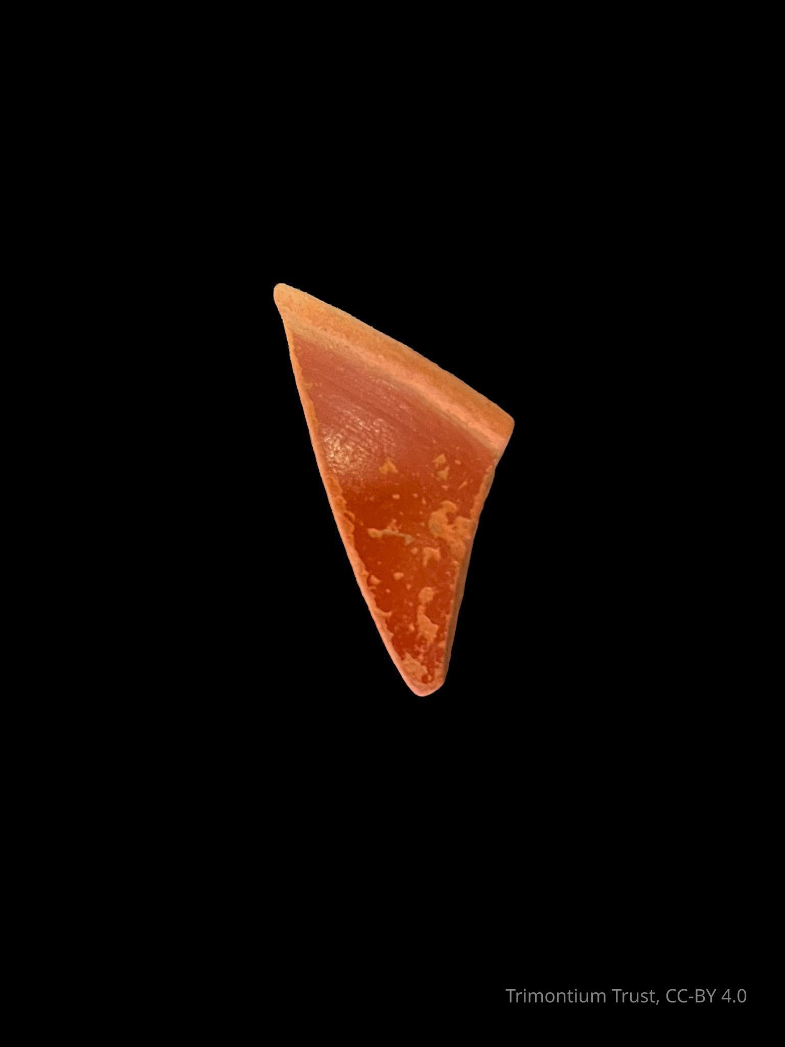 SAMIAN WARE / TERRA SIGILLATA