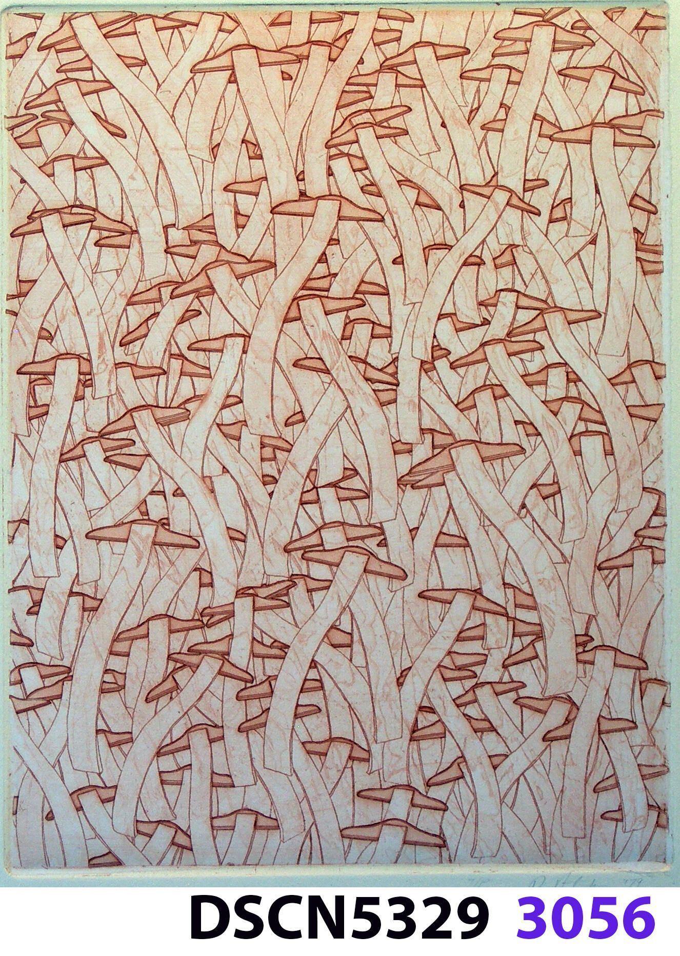Wave Square School – variation: I was at a fish hatchery, and, looking in the water it was all dark. I thought, there are no fish!" I blinked, and all of a sudden I could see thousands of fishes. It was a school of fishes. Later, back in my studio I imagined thousands of wave squares in such a school. It inspired me to think of a moving image. For the spaceship crash series I was working on, in my imagination the camera zoomed in and resolved to show a school of wave squares, swimming like a school of fishes.