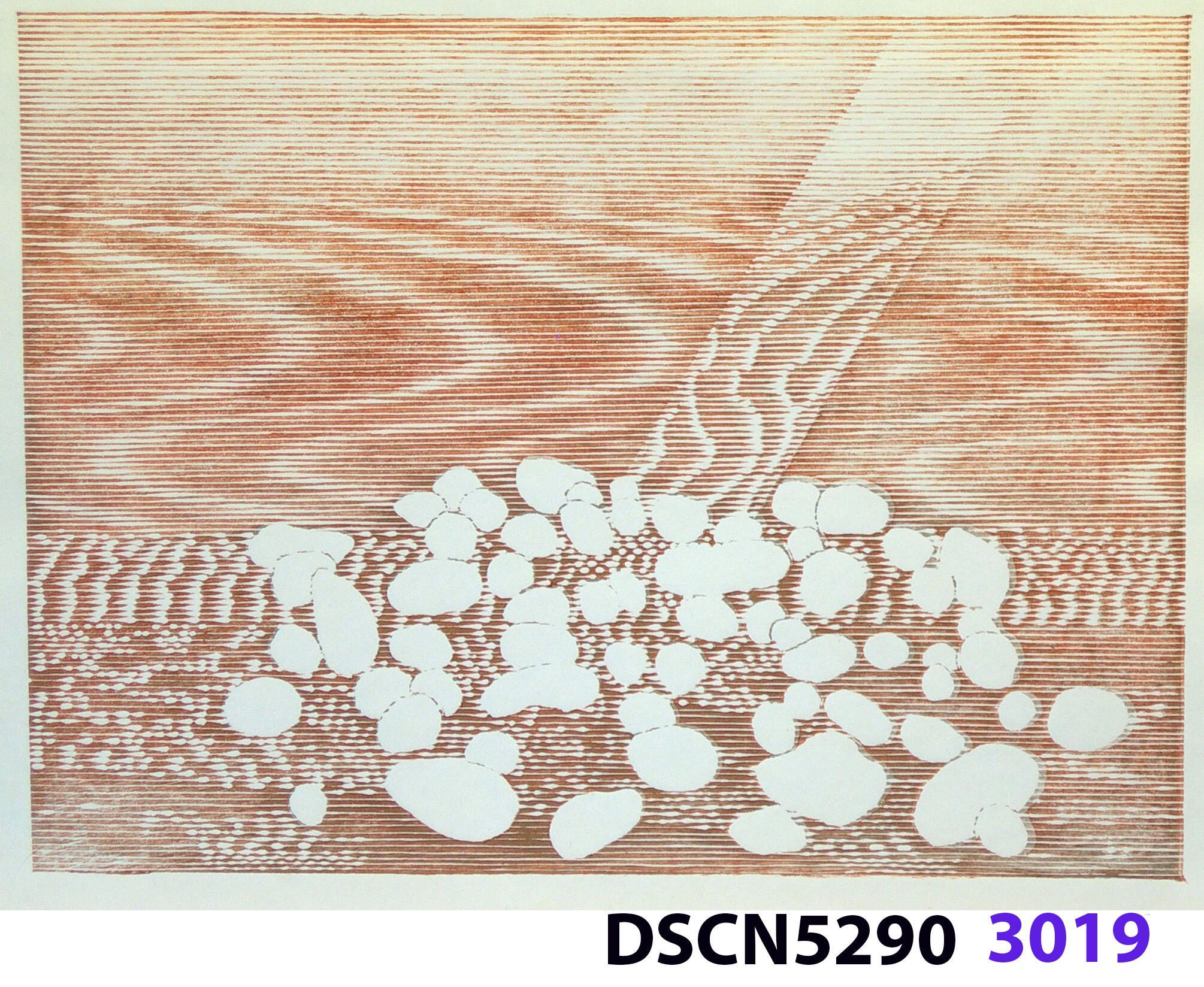 Stone Set: As a historical note, artist Bill Ritchie worked briefly at the Munch Museum studying the wood blocks that Edvard Munch cut and printed. Some of his woodcuts, notably "Badende Mann," (Bathing Man) he printed not as replicas or multiples all alike, but with different colors. These are termed monoprints, which means there are blocks which and be used to make almost identical impressions, but for artistic purposes (i.e., enjoyment of the creative artist) but the artist chose instead to make variations. In this print, Stone Set, Bill used an etched zinc plate from the Stone Set series and an under-image to a carved woodblock. Most, if not all, of the etched plates were printed in black, but the woodblock, being that it is printed with water-based colors in the Japanese manner (sosaku hanga) invites spontaneous color changes. The printer only has to dip the brush into a different color on the palette to produce a change. In other, mostly oil-based printing mediums, color changes are not that easy. Munch, for example, had to clean his inking slab and roller each time he wanted to try a different color. It must be mentioned, also, that Bill carved the lines in wood based on his video art. Television in those days was analog technology, with one or three electron beams scanning side-to-side of the picture from top to bottom and back again. The "picture" in Bill's video for this woodcut was not of the the real world, but the lines were instead the result of his stopping a videotape on a reel-to-reel videotape player and freezing the scanning at that stop-point. He photographed the TV screen, printed the negatiive, an traced it line-by line onto the woodcut and started carving. Another element to be mentioned is that the woodcut was printed on thin Asian paper (which works best in Japanese woodcut-style printing), let dry, then laminated to the etching in a second printing. The method is called Chine-colle, with water-based paste used to glue the sheets togehter. On close examination, one can tell the black oil-based etching ink is printed over the color, water-based ink.