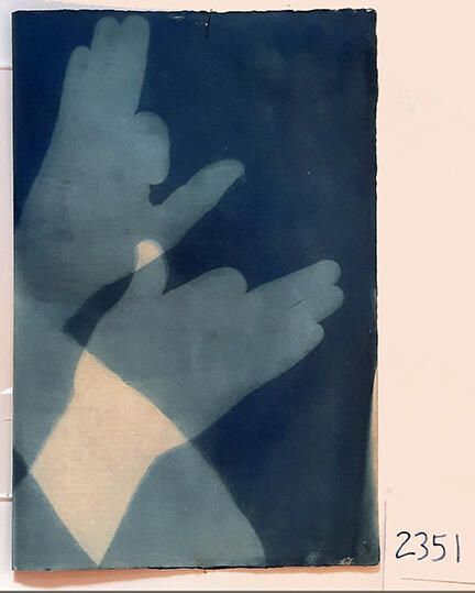 Handmade Dog Cyanotype No. 13 of 32: Norman Durkee, a Seattle composer, was a friend of mine and he sent me a tape of works made on his new Buchla synthesizer. One was titled, "Handmade Dog," a silly, rambling ditty with his synthesized "Woof woof" interspersed. My thought was to collaborate with Norman with my own handmade dogs. I had been doing such hand-shadow prints for some time. The technique, cyanotype, is sometimes called "sun printmaking" because sunlight is ideal, especially in months when the sun is high and rich in UV. The method requires coating paper with chemicals, letting it dry in a dark place, and then - in the sun as I did in this series - laying the paper out flat and putting like one's hand on it. Where the sun strikes the chemical, a reaction occurs and after some seconds or a minute, the paper is shielded until it can be washed. In cold, running water, the unexposed chemicals dissolve and wash away. Where the sun struck, the chemicals became insoluble and turn blue. Invented at the time many photo processes were (the mid-19th Century), it never achieved commercial value except in making blueprints and fine art photographs. To make the series of 32 prints I made a cyanotype or two a day in the summer of 1982, climbing to the rooftop hatch to the top of the Journal of Commerce Building in Seattle, which was home to the Triangle Studios for me from 1977-1983. See my memoir, "Dumb Hope: My curious life - 1981-1990."