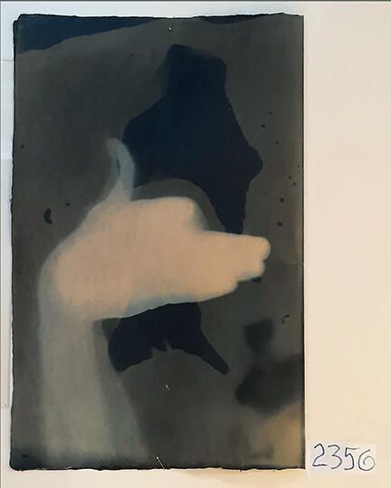 Handmade Dog Cyanotype No. 18 of 32: Norman Durkee, a Seattle composer, was a friend of mine and he sent me a tape of works made on his new Buchla synthesizer. One was titled, "Handmade Dog," a silly, rambling ditty with his synthesized "Woof woof" interspersed. My thought was to collaborate with Norman with my own handmade dogs. I had been doing such hand-shadow prints for some time. The technique, cyanotype, is sometimes called "sun printmaking" because sunlight is ideal, especially in months when the sun is high and rich in UV. The method requires coating paper with chemicals, letting it dry in a dark place, and then - in the sun as I did in this series - laying the paper out flat and putting like one's hand on it. Where the sun strikes the chemical, a reaction occurs and after some seconds or a minute, the paper is shielded until it can be washed. In cold, running water, the unexposed chemicals dissolve and wash away. Where the sun struck, the chemicals became insoluble and turn blue. Invented at the time many photo processes were (the mid-19th Century), it never achieved commercial value except in making blueprints and fine art photographs. To make the series of 32 prints I made a cyanotype or two a day in the summer of 1982, climbing to the rooftop hatch to the top of the Journal of Commerce Building in Seattle, which was home to the Triangle Studios for me from 1977-1983. See my memoir, "Dumb Hope: My curious life - 1981-1990."