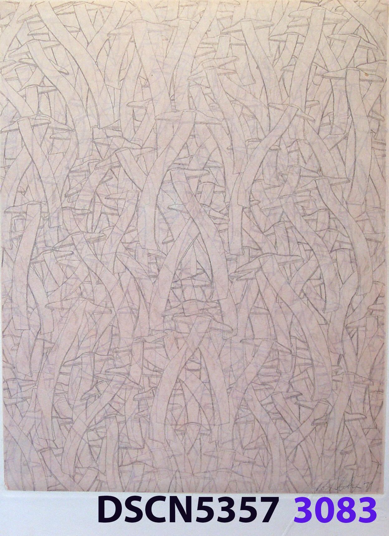 Wave Square School: I was at a fish hatchery, and, looking in the water it was all dark. I thought, there are no fish!" I blinked, and all of a sudden I could see thousands of fishes. It was a school of fishes. Later, back in my studio I imagined thousands of wave squares in such a school. It inspired me to think of a moving image. For the spaceship crash series I was working on, in my imagination the camera zoomed in and resolved to show a school of wave squares, swimming like a school of fishes.