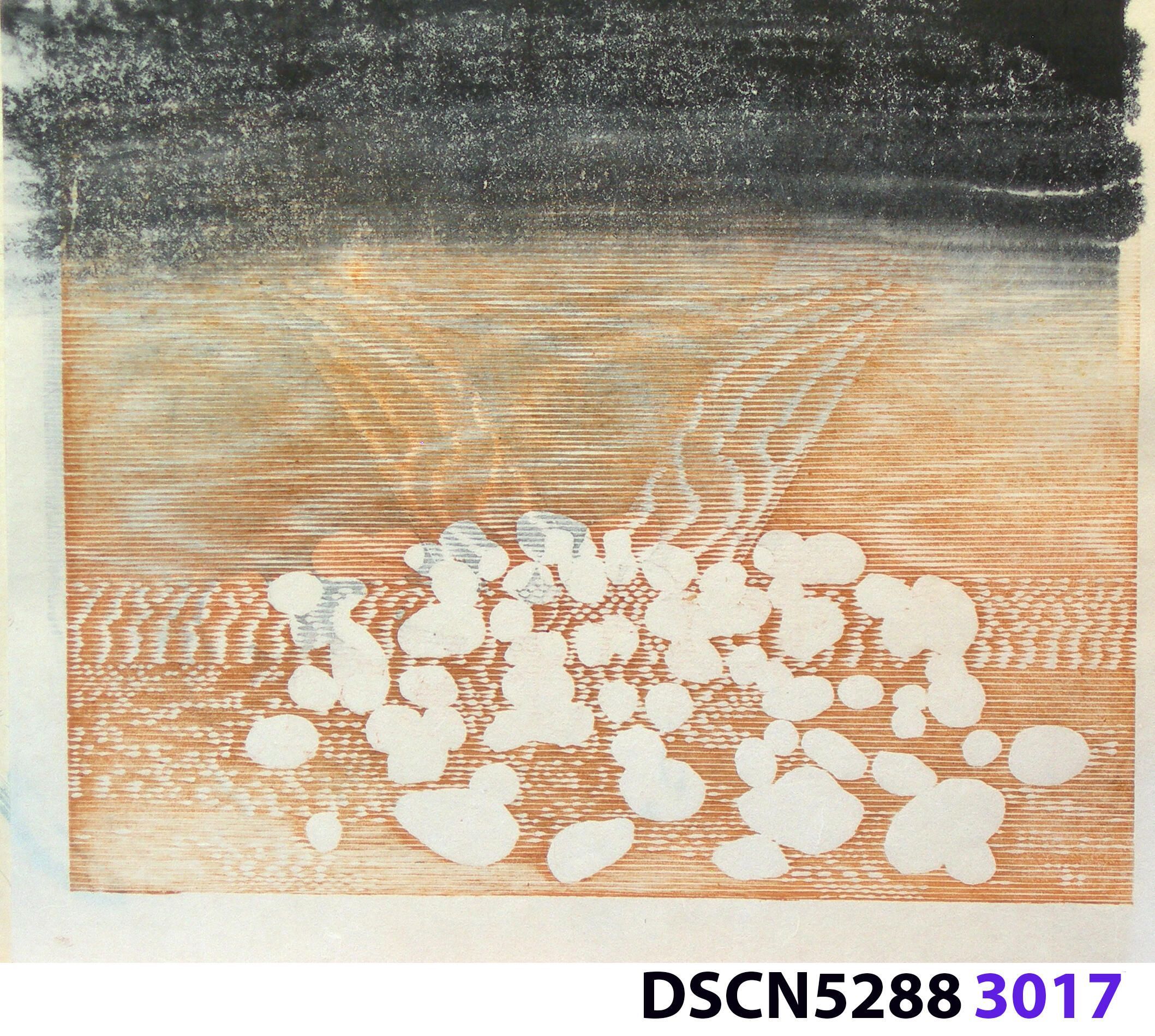 Stone Set: As a historical note, artist Bill Ritchie worked briefly at the Munch Museum studying the wood blocks that Edvard Munch cut and printed. Some of his woodcuts, notably "Badende Mann," (Bathing Man) he printed not as replicas or multiples all alike, but with different colors. These are termed monoprints, which means there are blocks which and be used to make almost identical impressions, but for artistic purposes (i.e., enjoyment of the creative artist) but the artist chose instead to make variations. In this print, Stone Set, Bill used an etched zinc plate from the Stone Set series and an under-image to a carved woodblock. Most, if not all, of the etched plates were printed in black, but the woodblock, being that it is printed with water-based colors in the Japanese manner (sosaku hanga) invites spontaneous color changes. The printer only has to dip the brush into a different color on the palette to produce a change. In other, mostly oil-based printing mediums, color changes are not that easy. Munch, for example, had to clean his inking slab and roller each time he wanted to try a different color. It must be mentioned, also, that Bill carved the lines in wood based on his video art. Television in those days was analog technology, with one or three electron beams scanning side-to-side of the picture from top to bottom and back again. The "picture" in Bill's video for this woodcut was not of the the real world, but the lines were instead the result of his stopping a videotape on a reel-to-reel videotape player and freezing the scanning at that stop-point. He photographed the TV screen, printed the negatiive, an traced it line-by line onto the woodcut and started carving. Another element to be mentioned is that the woodcut was printed on thin Asian paper (which works best in Japanese woodcut-style printing), let dry, then laminated to the etching in a second printing. The method is called Chine-colle, with water-based paste used to glue the sheets togehter. On close examination, one can tell the black oil-based etching ink is printed over the color, water-based ink.