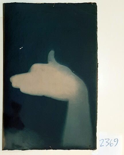 Handmade Dog Cyanotype No. 31 of 32: Norman Durkee, a Seattle composer, was a friend of mine and he sent me a tape of works made on his new Buchla synthesizer. One was titled, "Handmade Dog," a silly, rambling ditty with his synthesized "Woof woof" interspersed. My thought was to collaborate with Norman with my own handmade dogs. I had been doing such hand-shadow prints for some time. The technique, cyanotype, is sometimes called "sun printmaking" because sunlight is ideal, especially in months when the sun is high and rich in UV. The method requires coating paper with chemicals, letting it dry in a dark place, and then - in the sun as I did in this series - laying the paper out flat and putting like one's hand on it. Where the sun strikes the chemical, a reaction occurs and after some seconds or a minute, the paper is shielded until it can be washed. In cold, running water, the unexposed chemicals dissolve and wash away. Where the sun struck, the chemicals became insoluble and turn blue. Invented at the time many photo processes were (the mid-19th Century), it never achieved commercial value except in making blueprints and fine art photographs. To make the series of 32 prints I made a cyanotype or two a day in the summer of 1982, climbing to the rooftop hatch to the top of the Journal of Commerce Building in Seattle, which was home to the Triangle Studios for me from 1977-1983. See my memoir, "Dumb Hope: My curious life - 1981-1990."