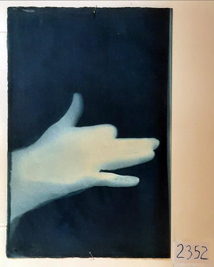 Handmade Dog Cyanotype No. 14 of 32: Norman Durkee, a Seattle composer, was a friend of mine and he sent me a tape of works made on his new Buchla synthesizer. One was titled, "Handmade Dog," a silly, rambling ditty with his synthesized "Woof woof" interspersed. My thought was to collaborate with Norman with my own handmade dogs. I had been doing such hand-shadow prints for some time. The technique, cyanotype, is sometimes called "sun printmaking" because sunlight is ideal, especially in months when the sun is high and rich in UV. The method requires coating paper with chemicals, letting it dry in a dark place, and then - in the sun as I did in this series - laying the paper out flat and putting like one's hand on it. Where the sun strikes the chemical, a reaction occurs and after some seconds or a minute, the paper is shielded until it can be washed. In cold, running water, the unexposed chemicals dissolve and wash away. Where the sun struck, the chemicals became insoluble and turn blue. Invented at the time many photo processes were (the mid-19th Century), it never achieved commercial value except in making blueprints and fine art photographs. To make the series of 32 prints I made a cyanotype or two a day in the summer of 1982, climbing to the rooftop hatch to the top of the Journal of Commerce Building in Seattle, which was home to the Triangle Studios for me from 1977-1983. See my memoir, "Dumb Hope: My curious life - 1981-1990."