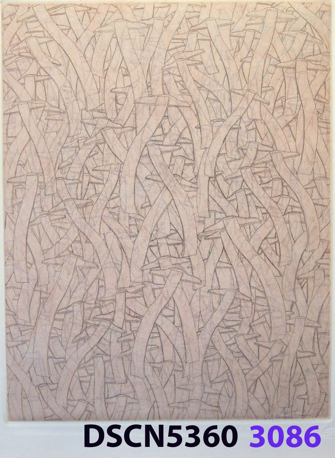 Wave Square School: I was at a fish hatchery, and, looking in the water it was all dark. I thought, there are no fish!" I blinked, and all of a sudden I could see thousands of fishes. It was a school of fishes. Later, back in my studio I imagined thousands of wave squares in such a school. It inspired me to think of a moving image. For the spaceship crash series I was working on, in my imagination the camera zoomed in and resolved to show a school of wave squares, swimming like a school of fishes.