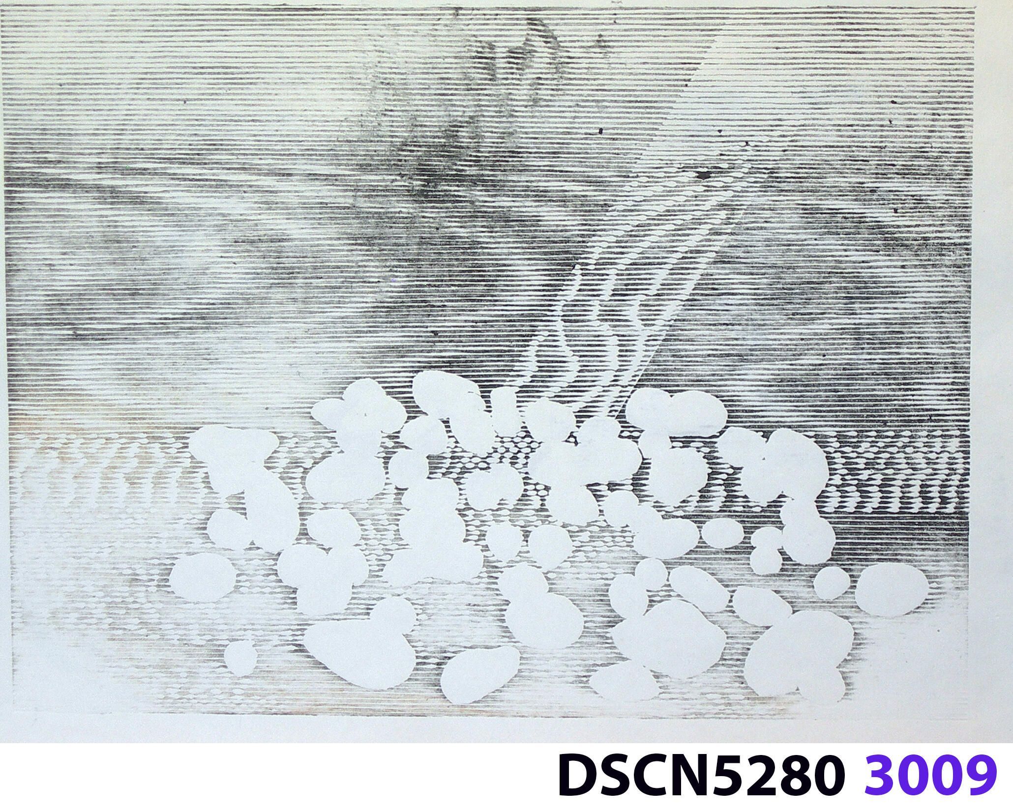 Stone Set: As a historical note, artist Bill Ritchie worked briefly at the Munch Museum studying the wood blocks that Edvard Munch cut and printed. Some of his woodcuts, notably "Badende Mann," (Bathing Man) he printed not as replicas or multiples all alike, but with different colors. These are termed monoprints, which means there are blocks which and be used to make almost identical impressions, but for artistic purposes (i.e., enjoyment of the creative artist) but the artist chose instead to make variations. In this print, Stone Set, Bill used an etched zinc plate from the Stone Set series and an under-image to a carved woodblock. Most, if not all, of the etched plates were printed in black, but the woodblock, being that it is printed with water-based colors in the Japanese manner (sosaku hanga) invites spontaneous color changes. The printer only has to dip the brush into a different color on the palette to produce a change. In other, mostly oil-based printing mediums, color changes are not that easy. Munch, for example, had to clean his inking slab and roller each time he wanted to try a different color. It must be mentioned, also, that Bill carved the lines in wood based on his video art. Television in those days was analog technology, with one or three electron beams scanning side-to-side of the picture from top to bottom and back again. The "picture" in Bill's video for this woodcut was not of the the real world, but the lines were instead the result of his stopping a videotape on a reel-to-reel videotape player and freezing the scanning at that stop-point. He photographed the TV screen, printed the negatiive, an traced it line-by line onto the woodcut and started carving. Another element to be mentioned is that the woodcut was printed on thin Asian paper (which works best in Japanese woodcut-style printing), let dry, then laminated to the etching in a second printing. The method is called Chine-colle, with water-based paste used to glue the sheets togehter. On close examination, one can tell the black oil-based etching ink is printed over the color, water-based ink.