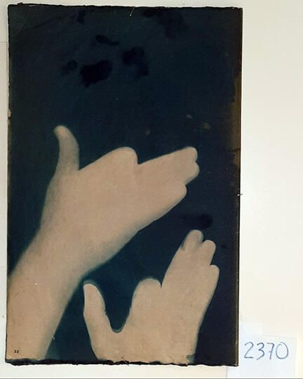 Handmade Dog Cyanotype No. 32 of 32: Norman Durkee, a Seattle composer, was a friend of mine and he sent me a tape of works made on his new Buchla synthesizer. One was titled, "Handmade Dog," a silly, rambling ditty with his synthesized "Woof woof" interspersed. My thought was to collaborate with Norman with my own handmade dogs. I had been doing such hand-shadow prints for some time. The technique, cyanotype, is sometimes called "sun printmaking" because sunlight is ideal, especially in months when the sun is high and rich in UV. The method requires coating paper with chemicals, letting it dry in a dark place, and then - in the sun as I did in this series - laying the paper out flat and putting like one's hand on it. Where the sun strikes the chemical, a reaction occurs and after some seconds or a minute, the paper is shielded until it can be washed. In cold, running water, the unexposed chemicals dissolve and wash away. Where the sun struck, the chemicals became insoluble and turn blue. Invented at the time many photo processes were (the mid-19th Century), it never achieved commercial value except in making blueprints and fine art photographs. To make the series of 32 prints I made a cyanotype or two a day in the summer of 1982, climbing to the rooftop hatch to the top of the Journal of Commerce Building in Seattle, which was home to the Triangle Studios for me from 1977-1983. See my memoir, "Dumb Hope: My curious life - 1981-1990."