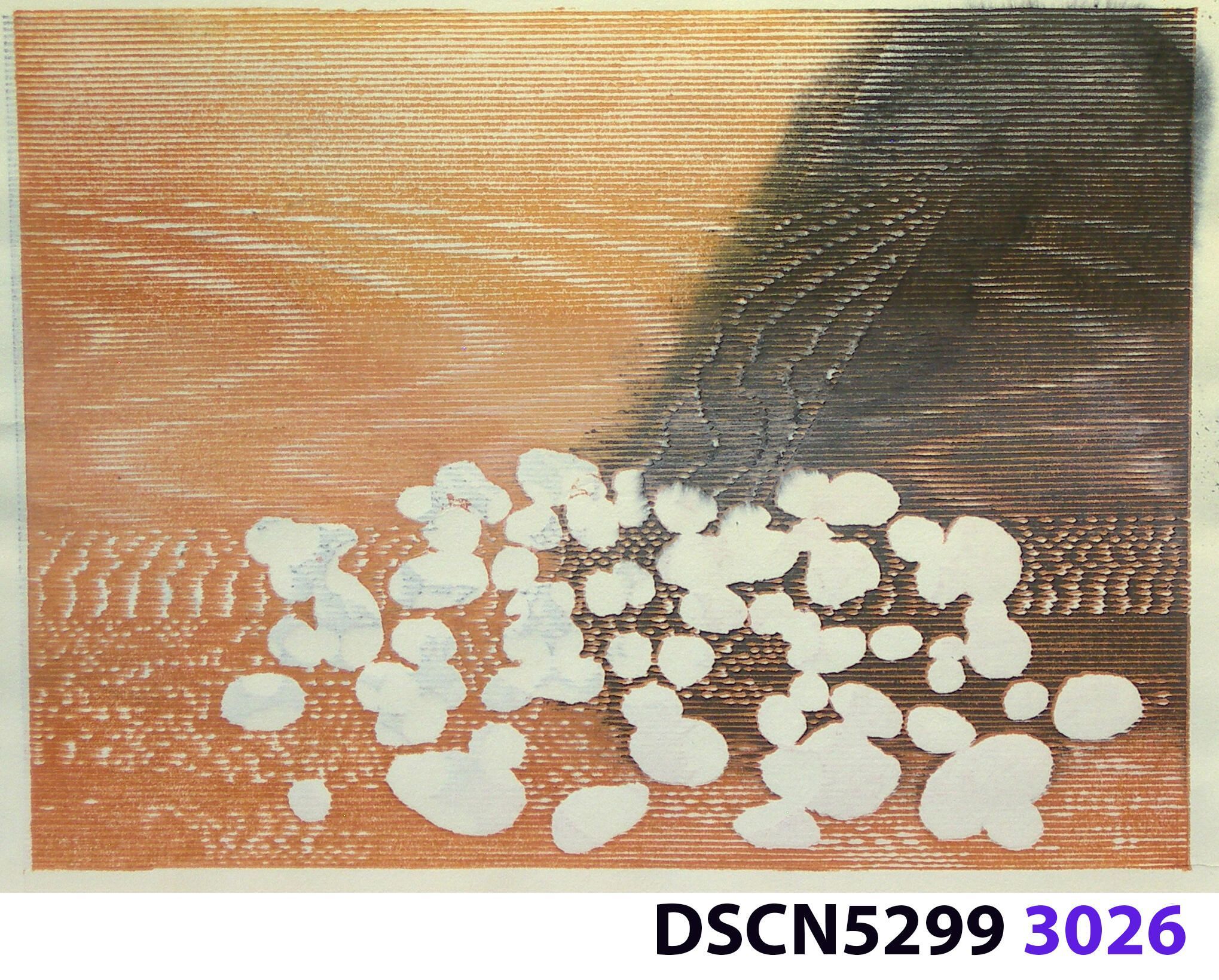 Stone Set: As a historical note, artist Bill Ritchie worked briefly at the Munch Museum studying the wood blocks that Edvard Munch cut and printed. Some of his woodcuts, notably "Badende Mann," (Bathing Man) he printed not as replicas or multiples all alike, but with different colors. These are termed monoprints, which means there are blocks which and be used to make almost identical impressions, but for artistic purposes (i.e., enjoyment of the creative artist) but the artist chose instead to make variations. In this print, Stone Set, Bill used an etched zinc plate from the Stone Set series and an under-image to a carved woodblock. Most, if not all, of the etched plates were printed in black, but the woodblock, being that it is printed with water-based colors in the Japanese manner (sosaku hanga) invites spontaneous color changes. The printer only has to dip the brush into a different color on the palette to produce a change. In other, mostly oil-based printing mediums, color changes are not that easy. Munch, for example, had to clean his inking slab and roller each time he wanted to try a different color. It must be mentioned, also, that Bill carved the lines in wood based on his video art. Television in those days was analog technology, with one or three electron beams scanning side-to-side of the picture from top to bottom and back again. The "picture" in Bill's video for this woodcut was not of the the real world, but the lines were instead the result of his stopping a videotape on a reel-to-reel videotape player and freezing the scanning at that stop-point. He photographed the TV screen, printed the negatiive, an traced it line-by line onto the woodcut and started carving. Another element to be mentioned is that the woodcut was printed on thin Asian paper (which works best in Japanese woodcut-style printing), let dry, then laminated to the etching in a second printing. The method is called Chine-colle, with water-based paste used to glue the sheets togehter. On close examination, one can tell the black oil-based etching ink is printed over the color, water-based ink.