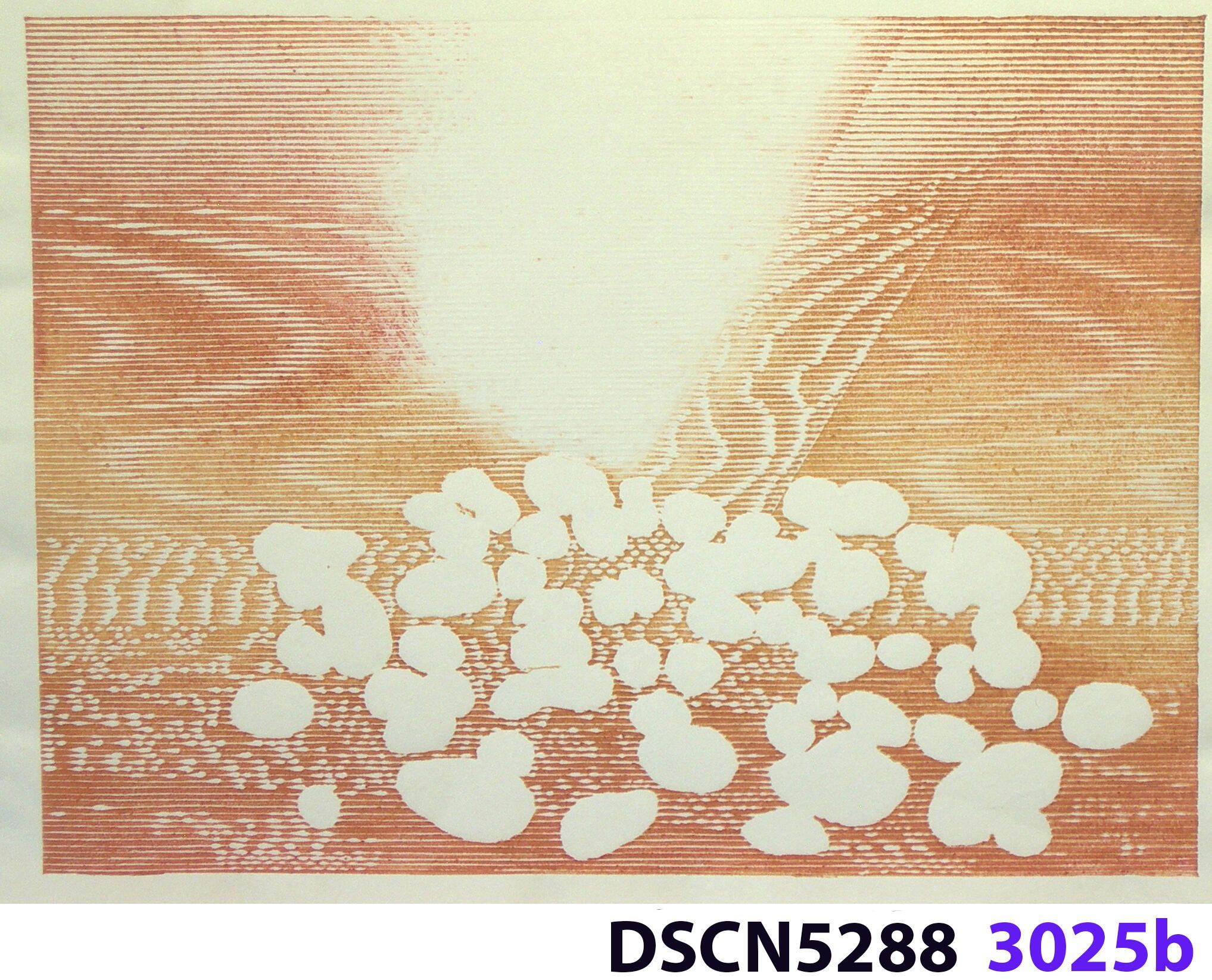 Stone Set: As a historical note, artist Bill Ritchie worked briefly at the Munch Museum studying the wood blocks that Edvard Munch cut and printed. Some of his woodcuts, notably "Badende Mann," (Bathing Man) he printed not as replicas or multiples all alike, but with different colors. These are termed monoprints, which means there are blocks which and be used to make almost identical impressions, but for artistic purposes (i.e., enjoyment of the creative artist) but the artist chose instead to make variations. In this print, Stone Set, Bill used an etched zinc plate from the Stone Set series and an under-image to a carved woodblock. Most, if not all, of the etched plates were printed in black, but the woodblock, being that it is printed with water-based colors in the Japanese manner (sosaku hanga) invites spontaneous color changes. The printer only has to dip the brush into a different color on the palette to produce a change. In other, mostly oil-based printing mediums, color changes are not that easy. Munch, for example, had to clean his inking slab and roller each time he wanted to try a different color. It must be mentioned, also, that Bill carved the lines in wood based on his video art. Television in those days was analog technology, with one or three electron beams scanning side-to-side of the picture from top to bottom and back again. The "picture" in Bill's video for this woodcut was not of the the real world, but the lines were instead the result of his stopping a videotape on a reel-to-reel videotape player and freezing the scanning at that stop-point. He photographed the TV screen, printed the negatiive, an traced it line-by line onto the woodcut and started carving. Another element to be mentioned is that the woodcut was printed on thin Asian paper (which works best in Japanese woodcut-style printing), let dry, then laminated to the etching in a second printing. The method is called Chine-colle, with water-based paste used to glue the sheets togehter. On close examination, one can tell the black oil-based etching ink is printed over the color, water-based ink.