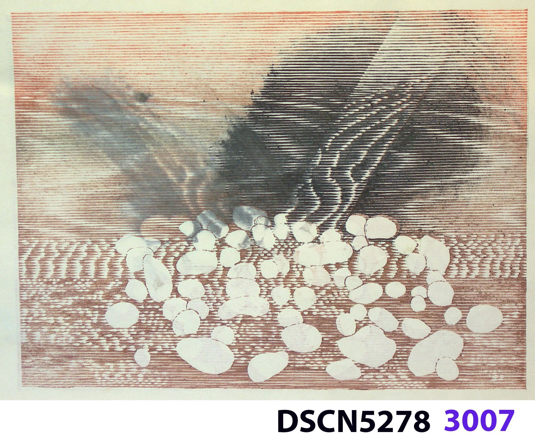 Stone Set: As a historical note, artist Bill Ritchie worked briefly at the Munch Museum studying the wood blocks that Edvard Munch cut and printed. Some of his woodcuts, notably "Badende Mann," (Bathing Man) he printed not as replicas or multiples all alike, but with different colors. These are termed monoprints, which means there are blocks which and be used to make almost identical impressions, but for artistic purposes (i.e., enjoyment of the creative artist) but the artist chose instead to make variations. In this print, Stone Set, Bill used an etched zinc plate from the Stone Set series and an under-image to a carved woodblock. Most, if not all, of the etched plates were printed in black, but the woodblock, being that it is printed with water-based colors in the Japanese manner (sosaku hanga) invites spontaneous color changes. The printer only has to dip the brush into a different color on the palette to produce a change. In other, mostly oil-based printing mediums, color changes are not that easy. Munch, for example, had to clean his inking slab and roller each time he wanted to try a different color. It must be mentioned, also, that Bill carved the lines in wood based on his video art. Television in those days was analog technology, with one or three electron beams scanning side-to-side of the picture from top to bottom and back again. The "picture" in Bill's video for this woodcut was not of the the real world, but the lines were instead the result of his stopping a videotape on a reel-to-reel videotape player and freezing the scanning at that stop-point. He photographed the TV screen, printed the negatiive, an traced it line-by line onto the woodcut and started carving. Another element to be mentioned is that the woodcut was printed on thin Asian paper (which works best in Japanese woodcut-style printing), let dry, then laminated to the etching in a second printing. The method is called Chine-colle, with water-based paste used to glue the sheets togehter. On close examination, one can tell the black oil-based etching ink is printed over the color, water-based ink.