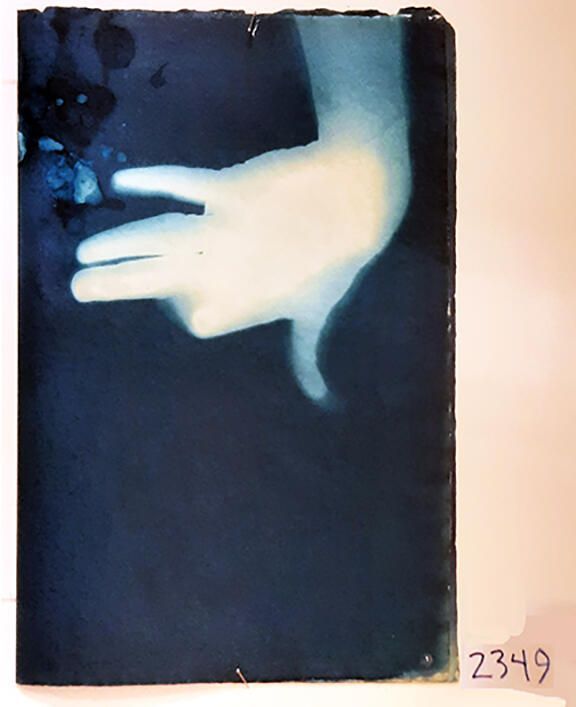 Handmade Dog Cyanotype No. 11 of 32: Norman Durkee, a Seattle composer, was a friend of mine and he sent me a tape of works made on his new Buchla synthesizer. One was titled, "Handmade Dog," a silly, rambling ditty with his synthesized "Woof woof" interspersed. My thought was to collaborate with Norman with my own handmade dogs. I had been doing such hand-shadow prints for some time. The technique, cyanotype, is sometimes called "sun printmaking" because sunlight is ideal, especially in months when the sun is high and rich in UV. The method requires coating paper with chemicals, letting it dry in a dark place, and then - in the sun as I did in this series - laying the paper out flat and putting like one's hand on it. Where the sun strikes the chemical, a reaction occurs and after some seconds or a minute, the paper is shielded until it can be washed. In cold, running water, the unexposed chemicals dissolve and wash away. Where the sun struck, the chemicals became insoluble and turn blue. Invented at the time many photo processes were (the mid-19th Century), it never achieved commercial value except in making blueprints and fine art photographs. To make the series of 32 prints I made a cyanotype or two a day in the summer of 1982, climbing to the rooftop hatch to the top of the Journal of Commerce Building in Seattle, which was home to the Triangle Studios for me from 1977-1983. See my memoir, "Dumb Hope: My curious life - 1981-1990."