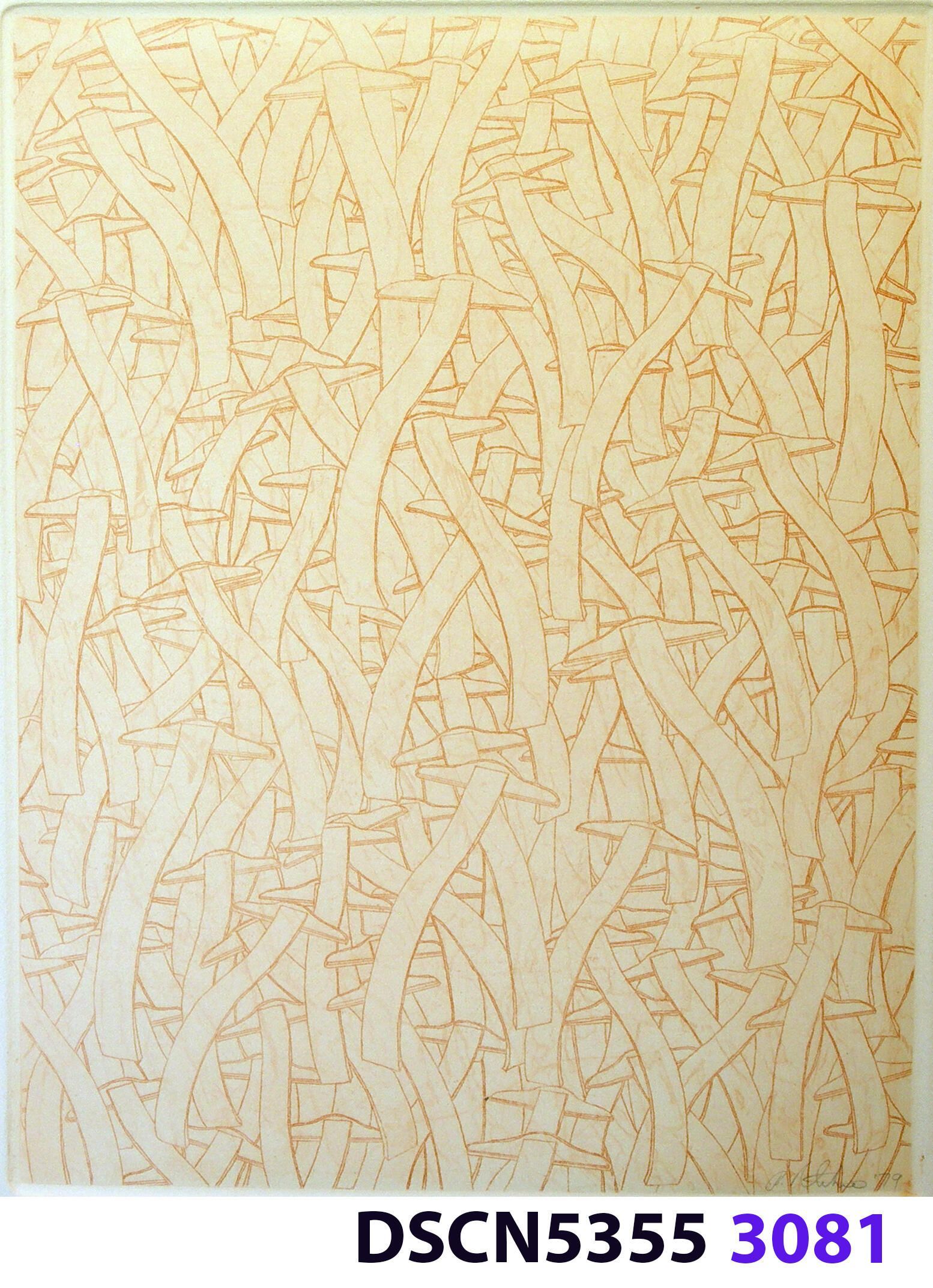 Wave Square School: I was at a fish hatchery, and, looking in the water it was all dark. I thought, there are no fish!" I blinked, and all of a sudden I could see thousands of fishes. It was a school of fishes. Later, back in my studio I imagined thousands of wave squares in such a school. It inspired me to think of a moving image. For the spaceship crash series I was working on, in my imagination the camera zoomed in and resolved to show a school of wave squares, swimming like a school of fishes.