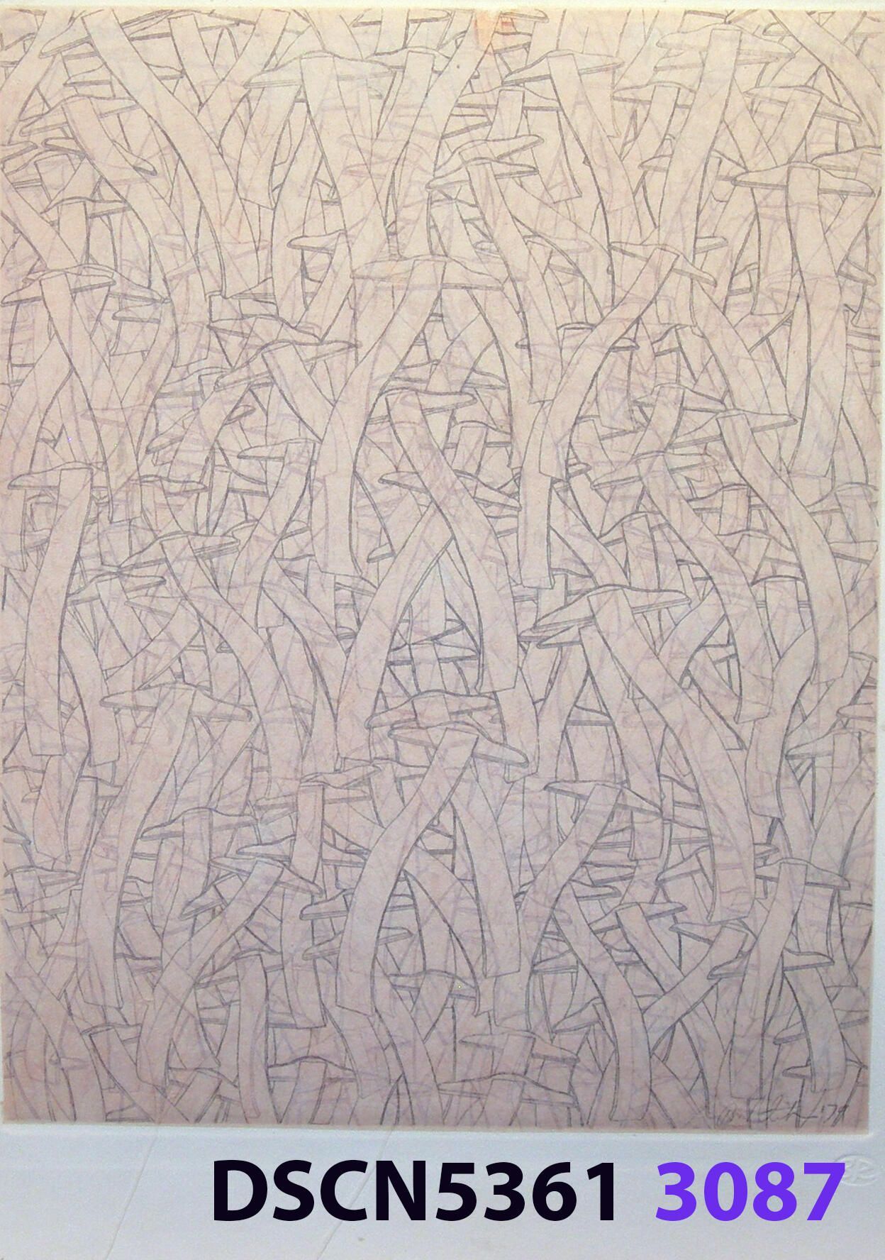 Wave Square School: I was at a fish hatchery, and, looking in the water it was all dark. I thought, there are no fish!" I blinked, and all of a sudden I could see thousands of fishes. It was a school of fishes. Later, back in my studio I imagined thousands of wave squares in such a school. It inspired me to think of a moving image. For the spaceship crash series I was working on, in my imagination the camera zoomed in and resolved to show a school of wave squares, swimming like a school of fishes.