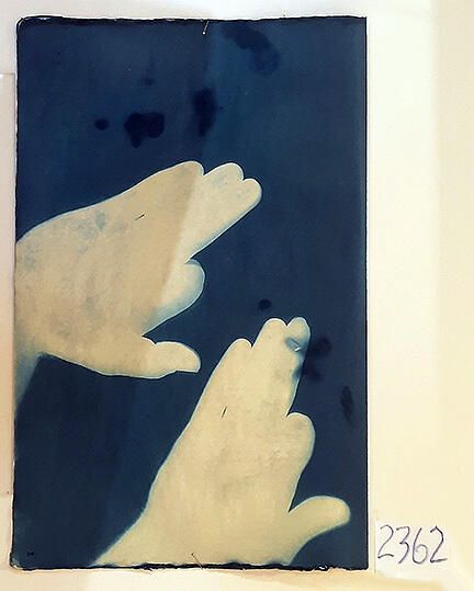 Handmade Dog Cyanotype No. 24 of 32: Norman Durkee, a Seattle composer, was a friend of mine and he sent me a tape of works made on his new Buchla synthesizer. One was titled, "Handmade Dog," a silly, rambling ditty with his synthesized "Woof woof" interspersed. My thought was to collaborate with Norman with my own handmade dogs. I had been doing such hand-shadow prints for some time. The technique, cyanotype, is sometimes called "sun printmaking" because sunlight is ideal, especially in months when the sun is high and rich in UV. The method requires coating paper with chemicals, letting it dry in a dark place, and then - in the sun as I did in this series - laying the paper out flat and putting like one's hand on it. Where the sun strikes the chemical, a reaction occurs and after some seconds or a minute, the paper is shielded until it can be washed. In cold, running water, the unexposed chemicals dissolve and wash away. Where the sun struck, the chemicals became insoluble and turn blue. Invented at the time many photo processes were (the mid-19th Century), it never achieved commercial value except in making blueprints and fine art photographs. To make the series of 32 prints I made a cyanotype or two a day in the summer of 1982, climbing to the rooftop hatch to the top of the Journal of Commerce Building in Seattle, which was home to the Triangle Studios for me from 1977-1983. See my memoir, "Dumb Hope: My curious life - 1981-1990."