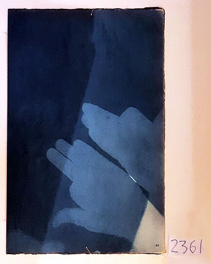 Handmade Dog Cyanotype No. 23 of 32: Norman Durkee, a Seattle composer, was a friend of mine and he sent me a tape of works made on his new Buchla synthesizer. One was titled, "Handmade Dog," a silly, rambling ditty with his synthesized "Woof woof" interspersed. My thought was to collaborate with Norman with my own handmade dogs. I had been doing such hand-shadow prints for some time. The technique, cyanotype, is sometimes called "sun printmaking" because sunlight is ideal, especially in months when the sun is high and rich in UV. The method requires coating paper with chemicals, letting it dry in a dark place, and then - in the sun as I did in this series - laying the paper out flat and putting like one's hand on it. Where the sun strikes the chemical, a reaction occurs and after some seconds or a minute, the paper is shielded until it can be washed. In cold, running water, the unexposed chemicals dissolve and wash away. Where the sun struck, the chemicals became insoluble and turn blue. Invented at the time many photo processes were (the mid-19th Century), it never achieved commercial value except in making blueprints and fine art photographs. To make the series of 32 prints I made a cyanotype or two a day in the summer of 1982, climbing to the rooftop hatch to the top of the Journal of Commerce Building in Seattle, which was home to the Triangle Studios for me from 1977-1983. See my memoir, "Dumb Hope: My curious life - 1981-1990."