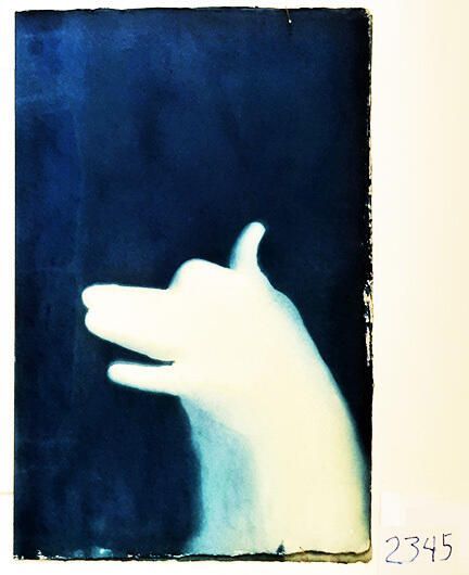 Handmade Dog Cyanotype No. 7 of 32: Norman Durkee, a Seattle composer, was a friend of mine and he sent me a tape of works made on his new Buchla synthesizer. One was titled, "Handmade Dog," a silly, rambling ditty with his synthesized "Woof woof" interspersed. My thought was to collaborate with Norman with my own handmade dogs. I had been doing such hand-shadow prints for some time. The technique, cyanotype, is sometimes called "sun printmaking" because sunlight is ideal, especially in months when the sun is high and rich in UV. The method requires coating paper with chemicals, letting it dry in a dark place, and then - in the sun as I did in this series - laying the paper out flat and putting like one's hand on it. Where the sun strikes the chemical, a reaction occurs and after some seconds or a minute, the paper is shielded until it can be washed. In cold, running water, the unexposed chemicals dissolve and wash away. Where the sun struck, the chemicals became insoluble and turn blue. Invented at the time many photo processes were (the mid-19th Century), it never achieved commercial value except in making blueprints and fine art photographs. To make the series of 32 prints I made a cyanotype or two a day in the summer of 1982, climbing to the rooftop hatch to the top of the Journal of Commerce Building in Seattle, which was home to the Triangle Studios for me from 1977-1983. See my memoir, "Dumb Hope: My curious life - 1981-1990."