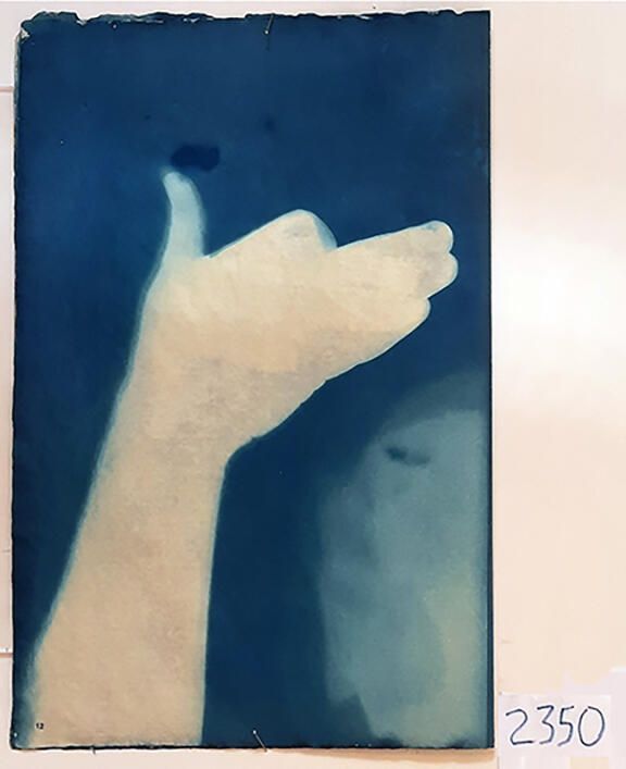 Handmade Dog Cyanotype No. 12 of 32: Norman Durkee, a Seattle composer, was a friend of mine and he sent me a tape of works made on his new Buchla synthesizer. One was titled, "Handmade Dog," a silly, rambling ditty with his synthesized "Woof woof" interspersed. My thought was to collaborate with Norman with my own handmade dogs. I had been doing such hand-shadow prints for some time. The technique, cyanotype, is sometimes called "sun printmaking" because sunlight is ideal, especially in months when the sun is high and rich in UV. The method requires coating paper with chemicals, letting it dry in a dark place, and then - in the sun as I did in this series - laying the paper out flat and putting like one's hand on it. Where the sun strikes the chemical, a reaction occurs and after some seconds or a minute, the paper is shielded until it can be washed. In cold, running water, the unexposed chemicals dissolve and wash away. Where the sun struck, the chemicals became insoluble and turn blue. Invented at the time many photo processes were (the mid-19th Century), it never achieved commercial value except in making blueprints and fine art photographs. To make the series of 32 prints I made a cyanotype or two a day in the summer of 1982, climbing to the rooftop hatch to the top of the Journal of Commerce Building in Seattle, which was home to the Triangle Studios for me from 1977-1983. See my memoir, "Dumb Hope: My curious life - 1981-1990."