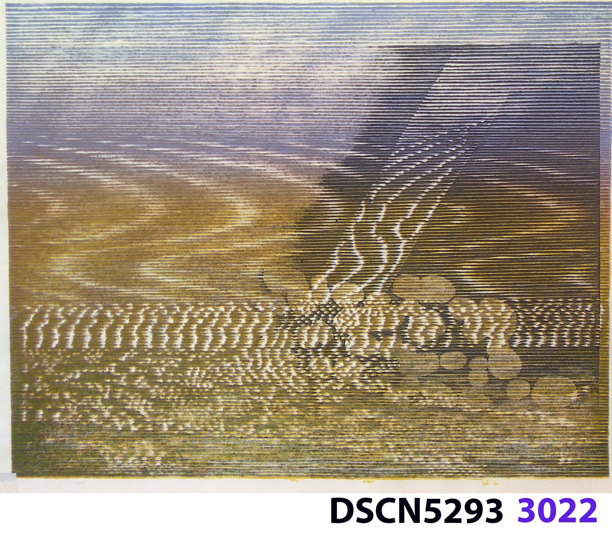 Stone Set: As a historical note, artist Bill Ritchie worked briefly at the Munch Museum studying the wood blocks that Edvard Munch cut and printed. Some of his woodcuts, notably "Badende Mann," (Bathing Man) he printed not as replicas or multiples all alike, but with different colors. These are termed monoprints, which means there are blocks which and be used to make almost identical impressions, but for artistic purposes (i.e., enjoyment of the creative artist) but the artist chose instead to make variations. In this print, Stone Set, Bill used an etched zinc plate from the Stone Set series and an under-image to a carved woodblock. Most, if not all, of the etched plates were printed in black, but the woodblock, being that it is printed with water-based colors in the Japanese manner (sosaku hanga) invites spontaneous color changes. The printer only has to dip the brush into a different color on the palette to produce a change. In other, mostly oil-based printing mediums, color changes are not that easy. Munch, for example, had to clean his inking slab and roller each time he wanted to try a different color. It must be mentioned, also, that Bill carved the lines in wood based on his video art. Television in those days was analog technology, with one or three electron beams scanning side-to-side of the picture from top to bottom and back again. The "picture" in Bill's video for this woodcut was not of the the real world, but the lines were instead the result of his stopping a videotape on a reel-to-reel videotape player and freezing the scanning at that stop-point. He photographed the TV screen, printed the negatiive, an traced it line-by line onto the woodcut and started carving. Another element to be mentioned is that the woodcut was printed on thin Asian paper (which works best in Japanese woodcut-style printing), let dry, then laminated to the etching in a second printing. The method is called Chine-colle, with water-based paste used to glue the sheets togehter. On close examination, one can tell the black oil-based etching ink is printed over the color, water-based ink.