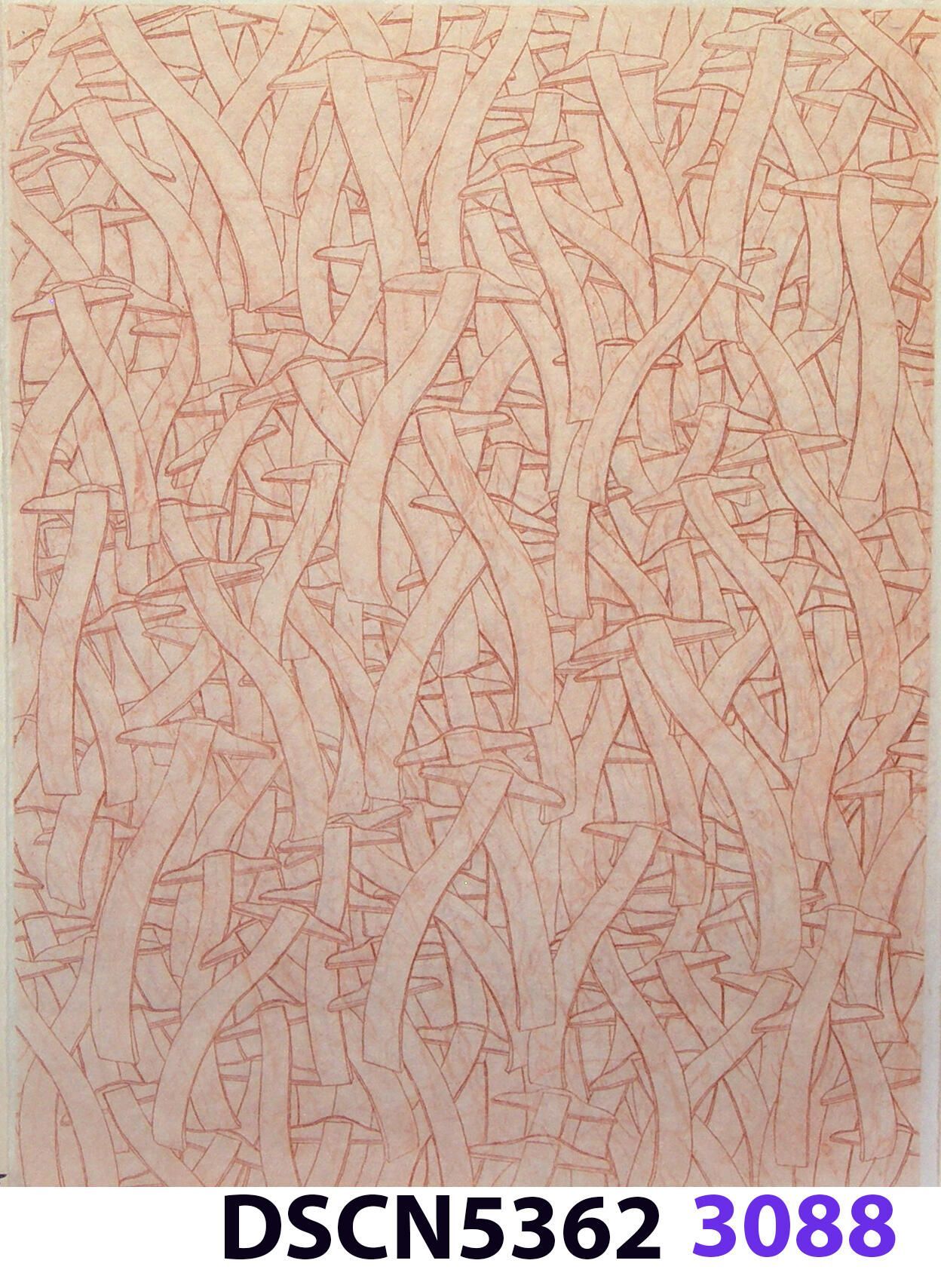 Wave Square School: I was at a fish hatchery, and, looking in the water it was all dark. I thought, there are no fish!" I blinked, and all of a sudden I could see thousands of fishes. It was a school of fishes. Later, back in my studio I imagined thousands of wave squares in such a school. It inspired me to think of a moving image. For the spaceship crash series I was working on, in my imagination the camera zoomed in and resolved to show a school of wave squares, swimming like a school of fishes.