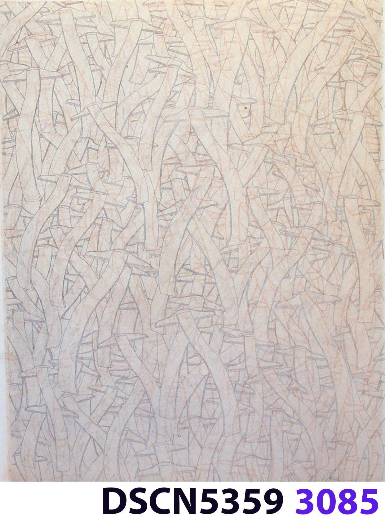 Wave Square School: I was at a fish hatchery, and, looking in the water it was all dark. I thought, there are no fish!" I blinked, and all of a sudden I could see thousands of fishes. It was a school of fishes. Later, back in my studio I imagined thousands of wave squares in such a school. It inspired me to think of a moving image. For the spaceship crash series I was working on, in my imagination the camera zoomed in and resolved to show a school of wave squares, swimming like a school of fishes.