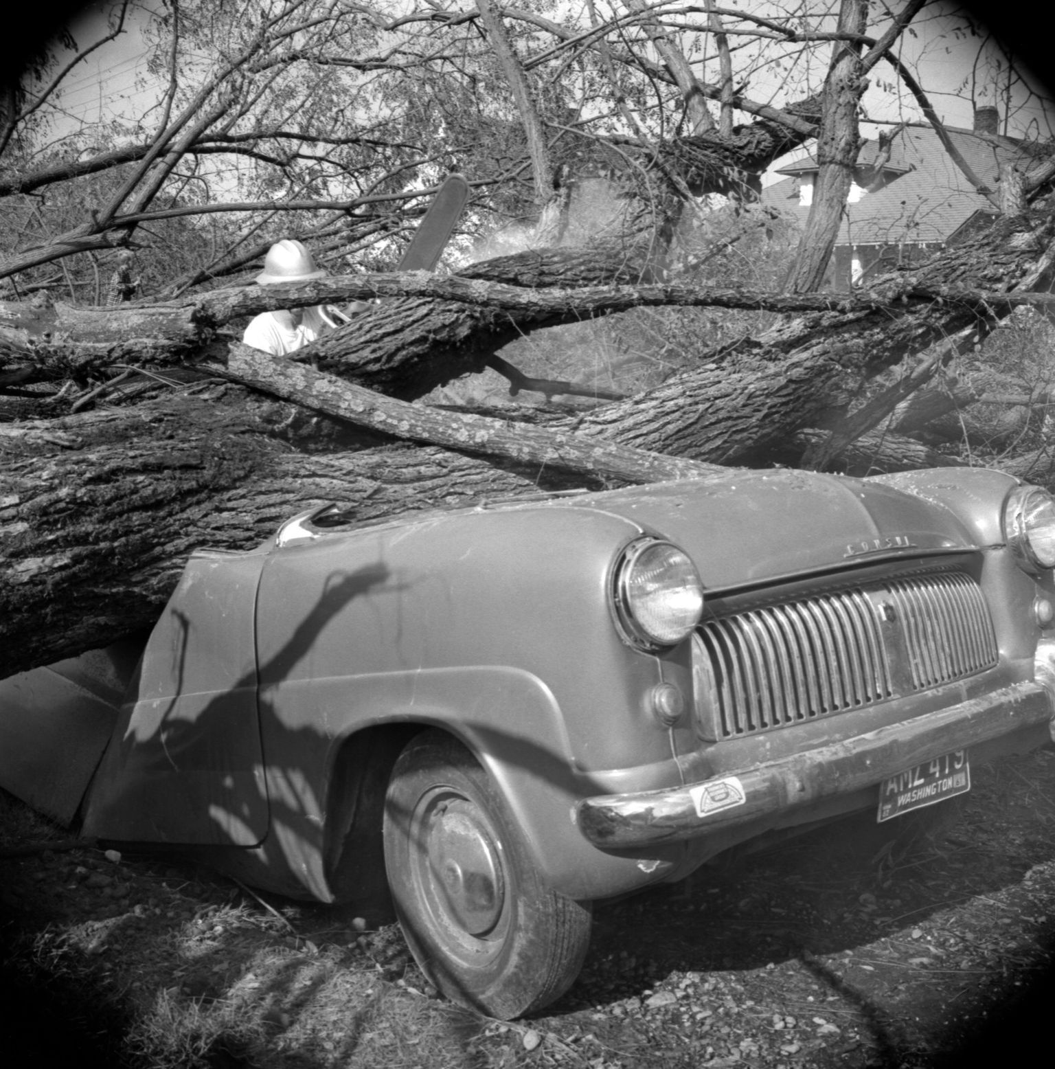 Columbus Day Storm, 1962