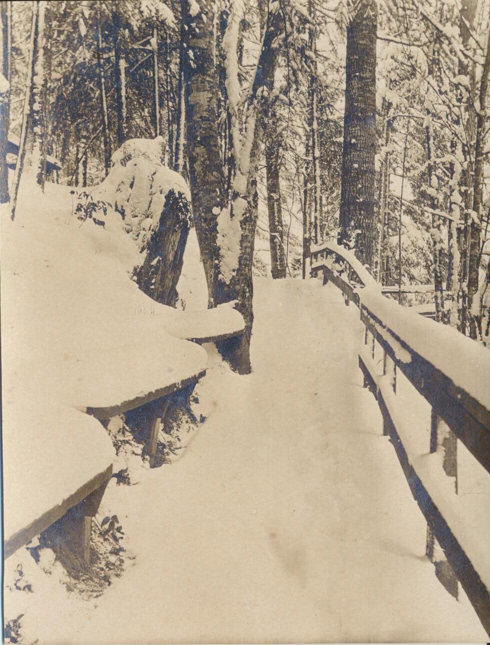 Winter Snows