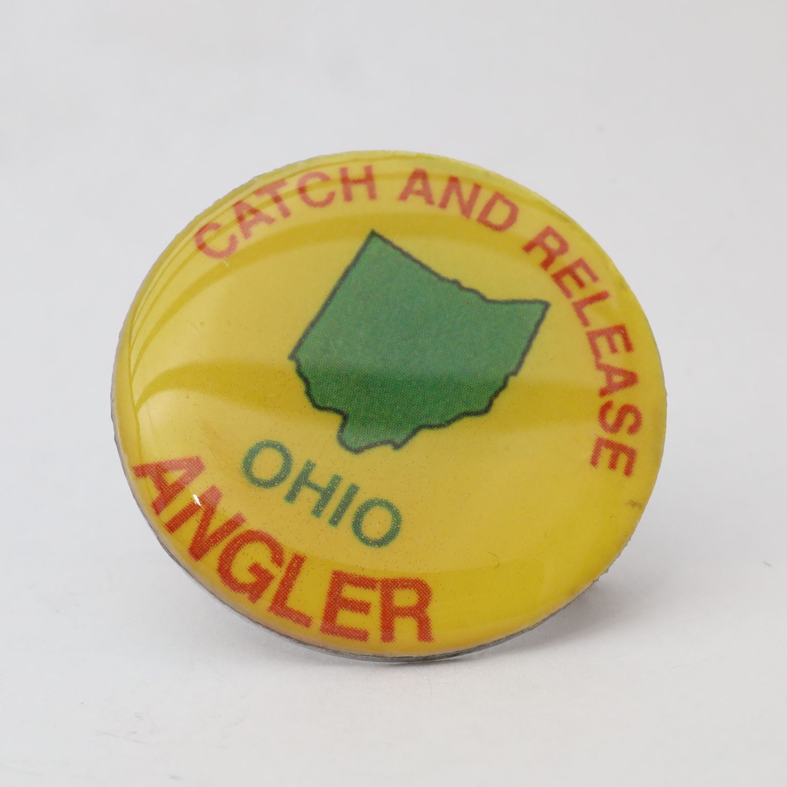 Fish Ohio Pins