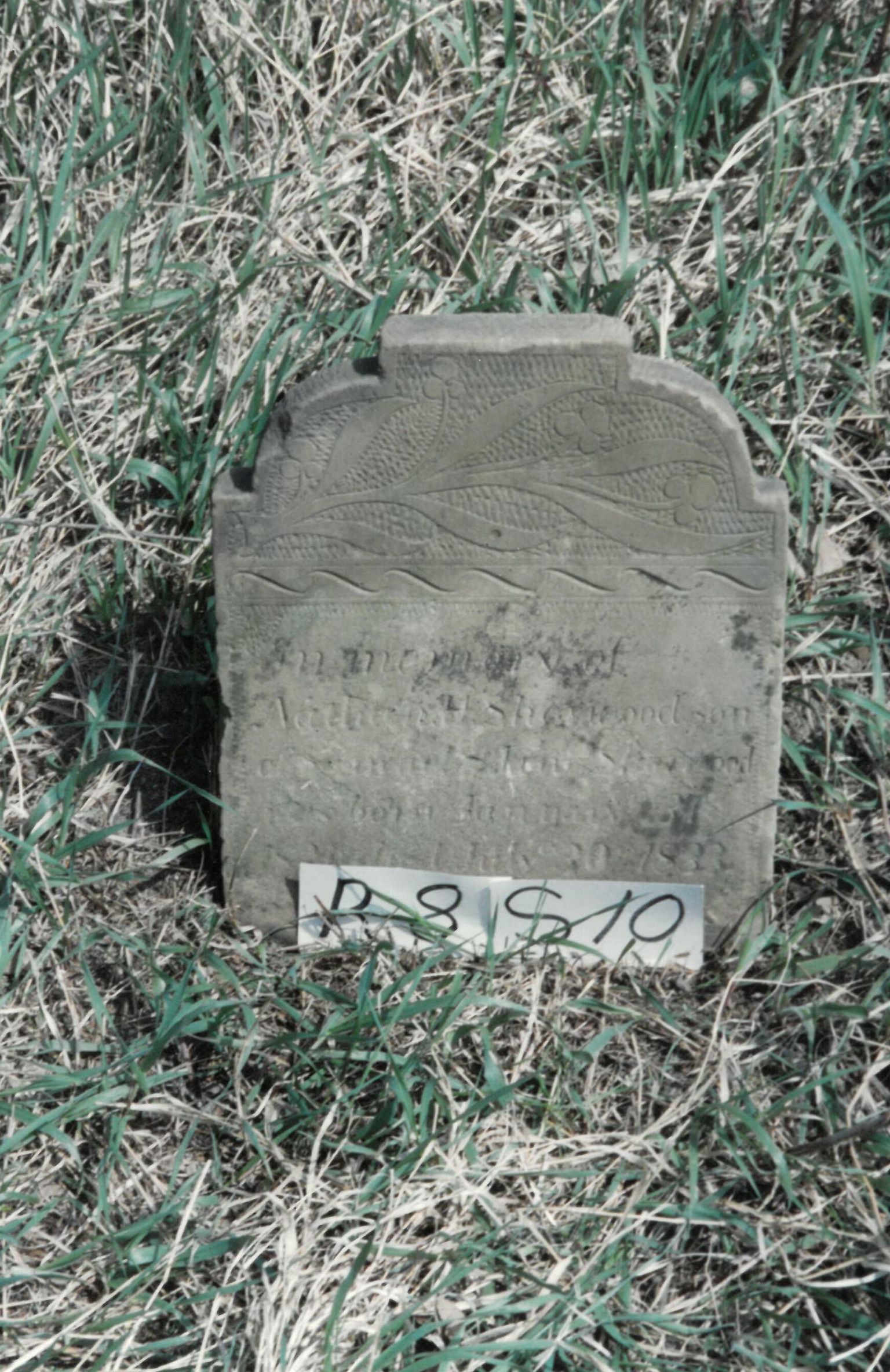 Smith Cemetery State Nature Preserve Memorials